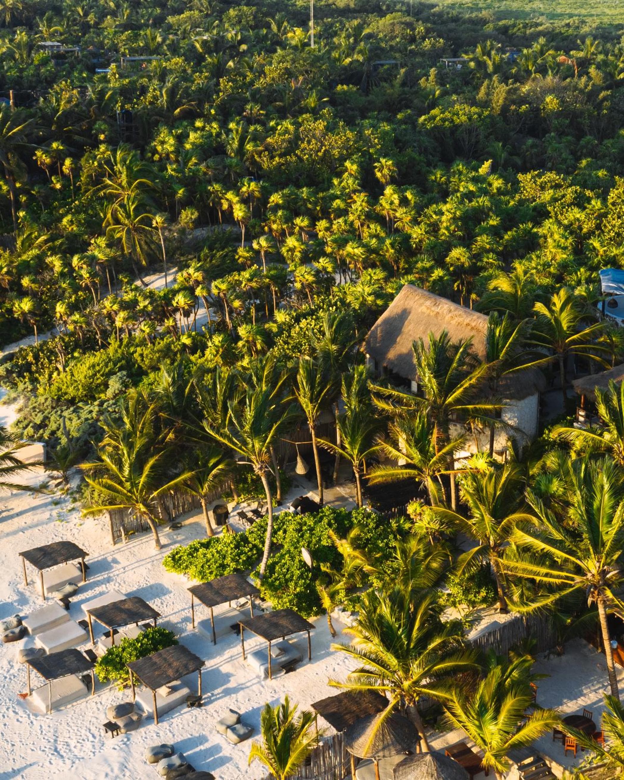 NEST Tulum — 9