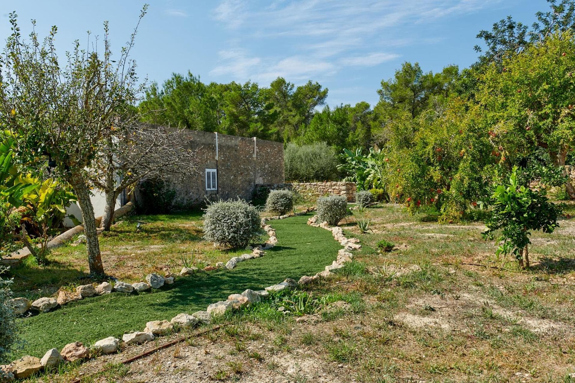Villa Sa Cocina — 3