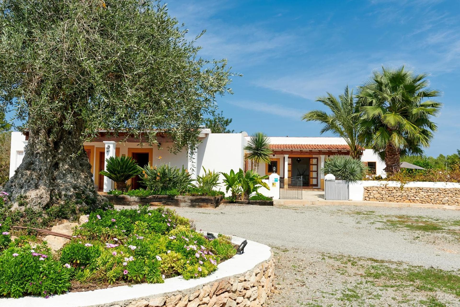 Villa Sa Cocina — 4