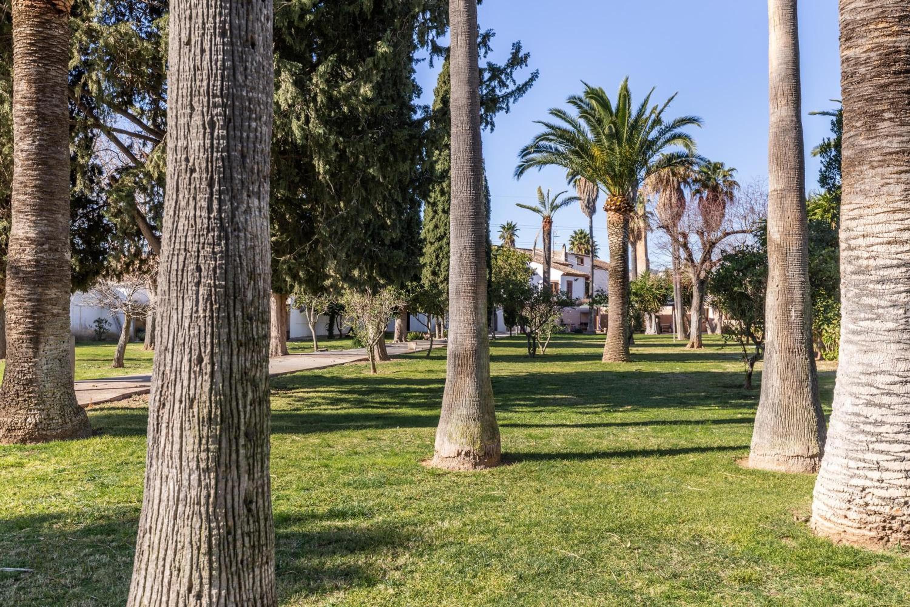 Moli dels Reis — 25