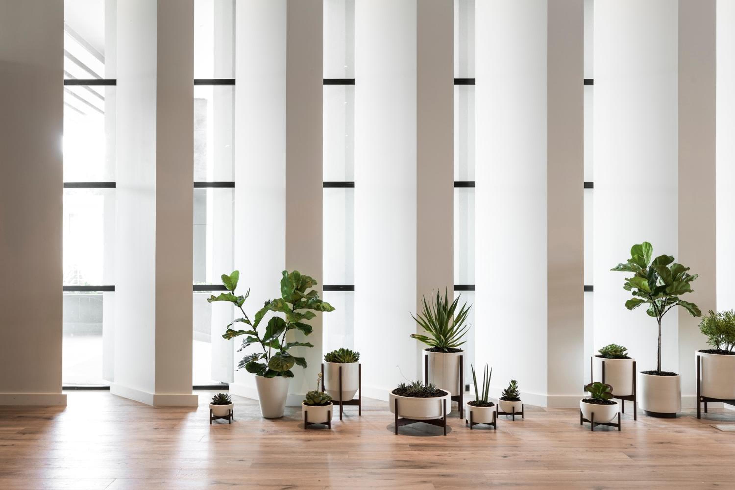 Kimpton Everly Hotel Hollywood by IHG — 22