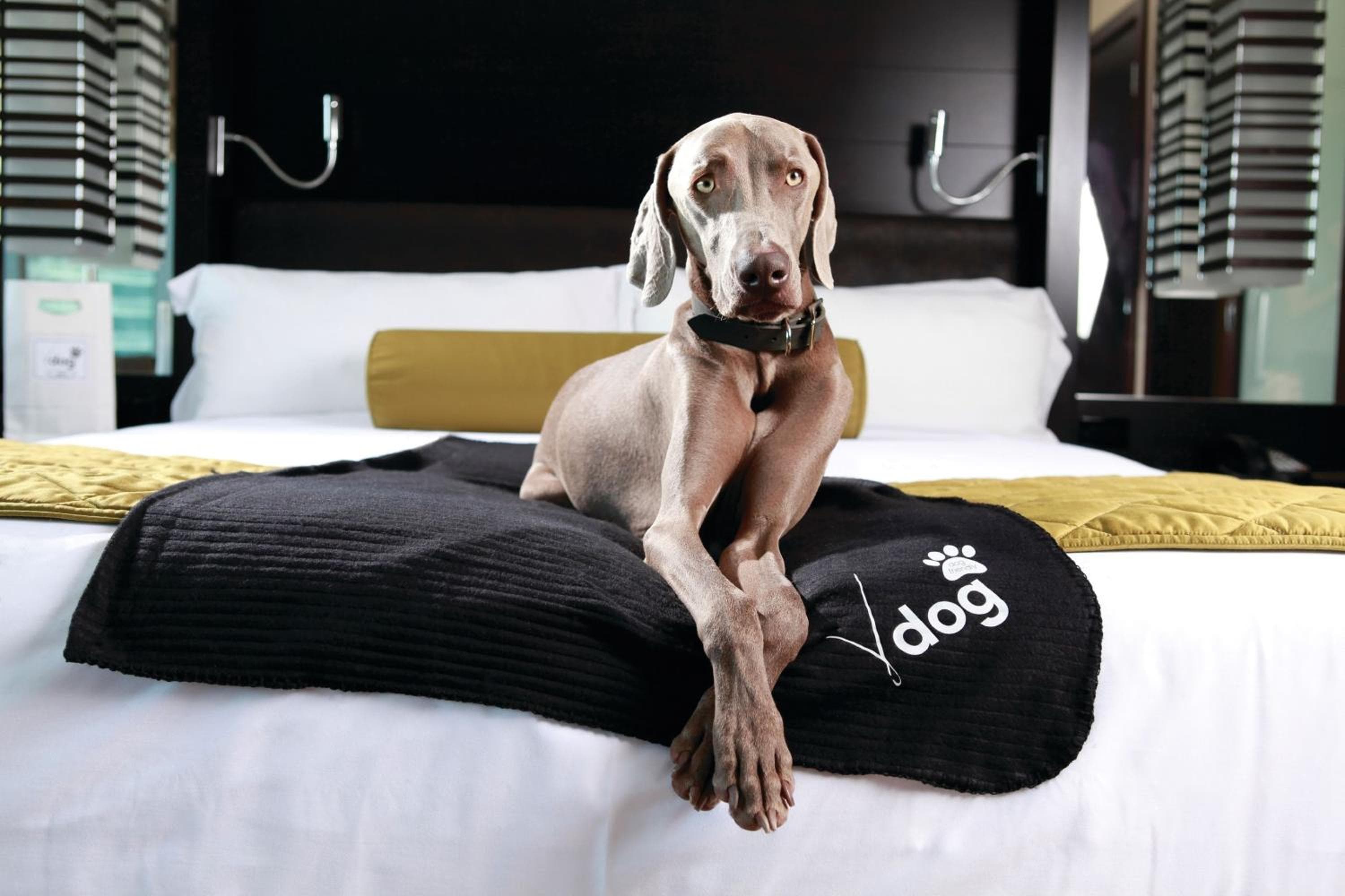 Vdara Hotel & Spa en ARIA Las Vegas — 9