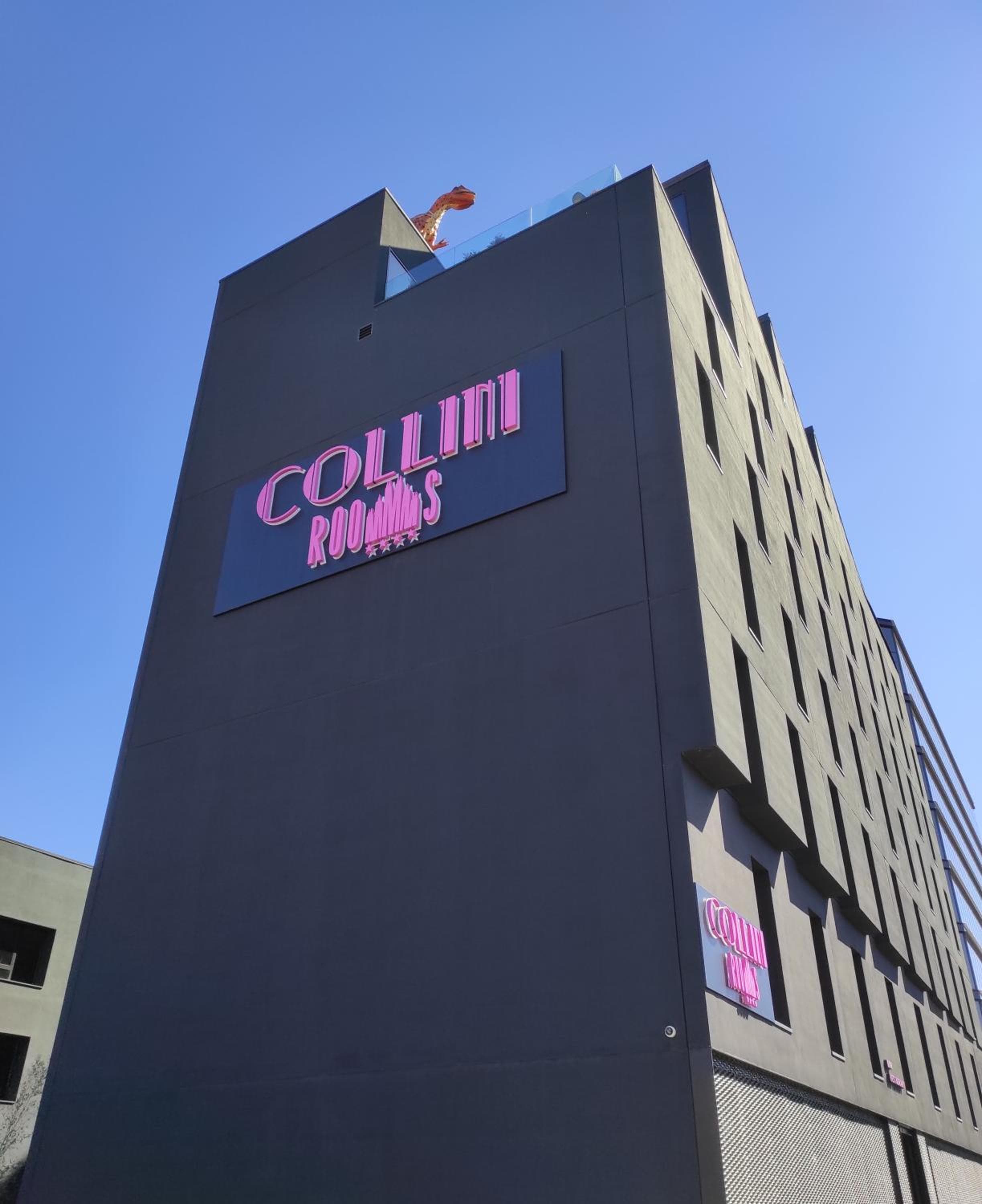 Collini Zimmer — 1