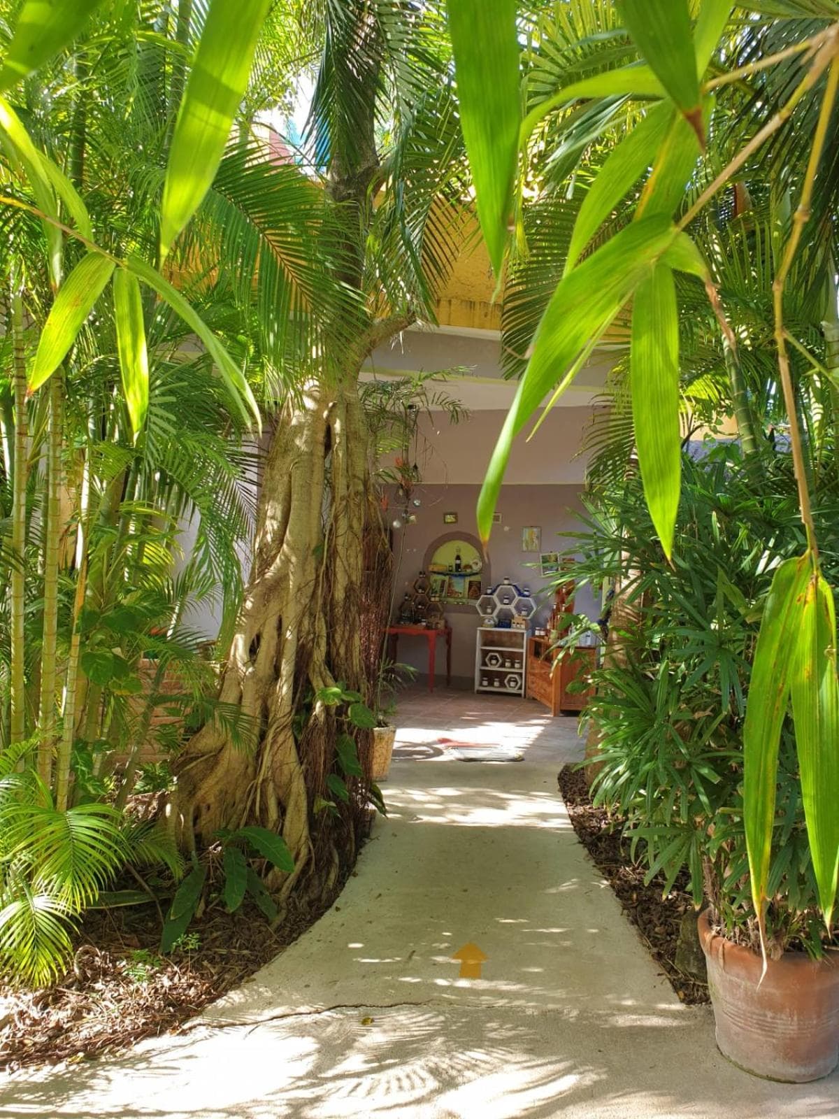 Casa Don Diego — 4