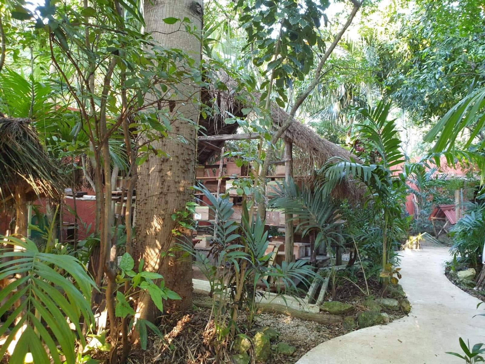 Casa Don Diego — 29
