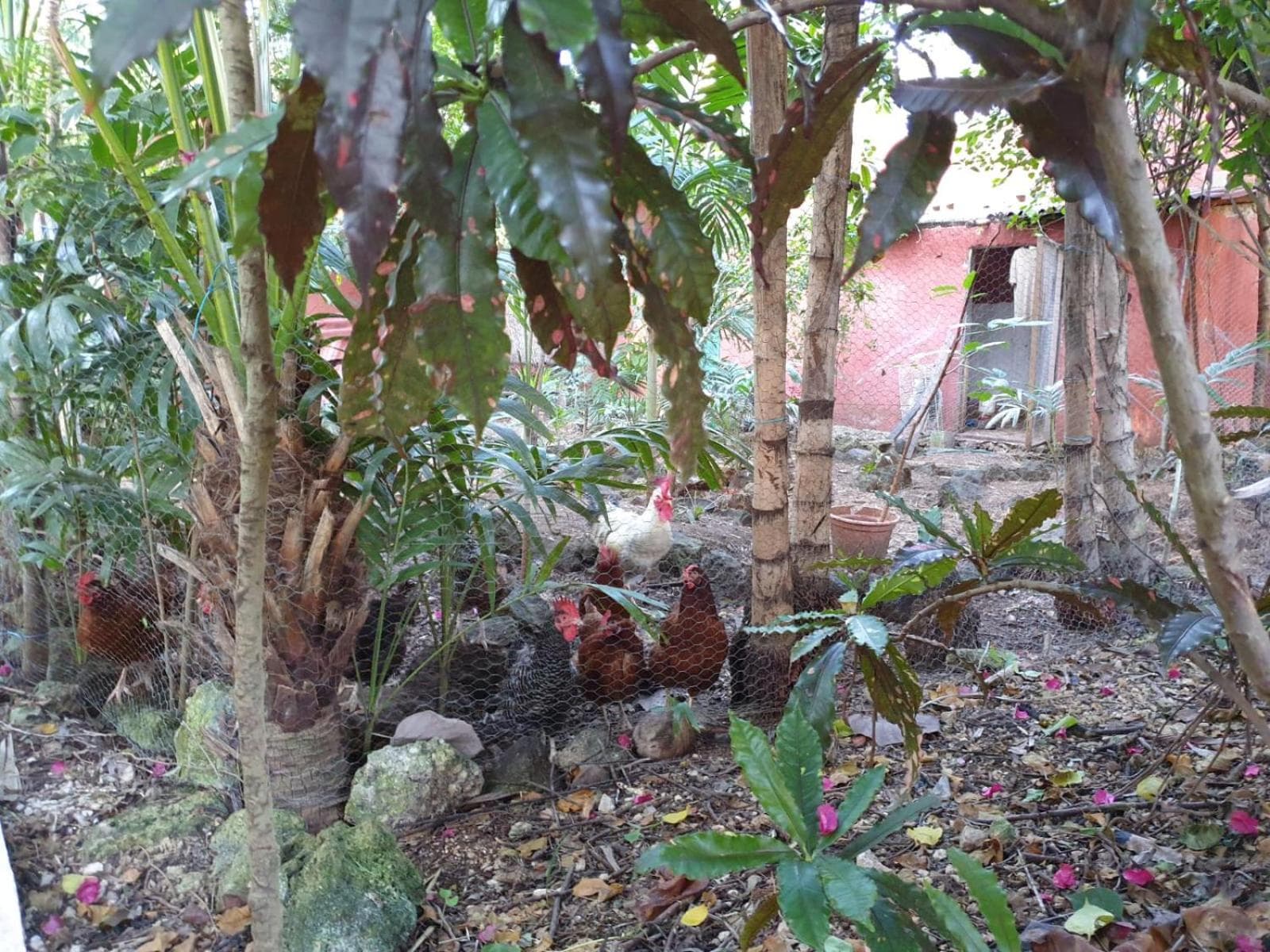 Casa Don Diego — 23