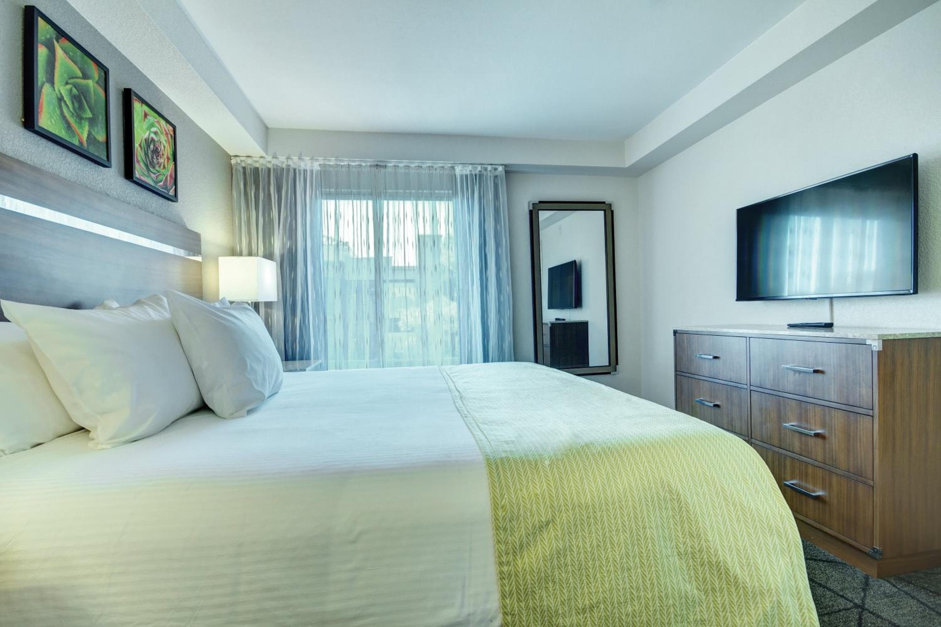 Desert Rose Resort — 2