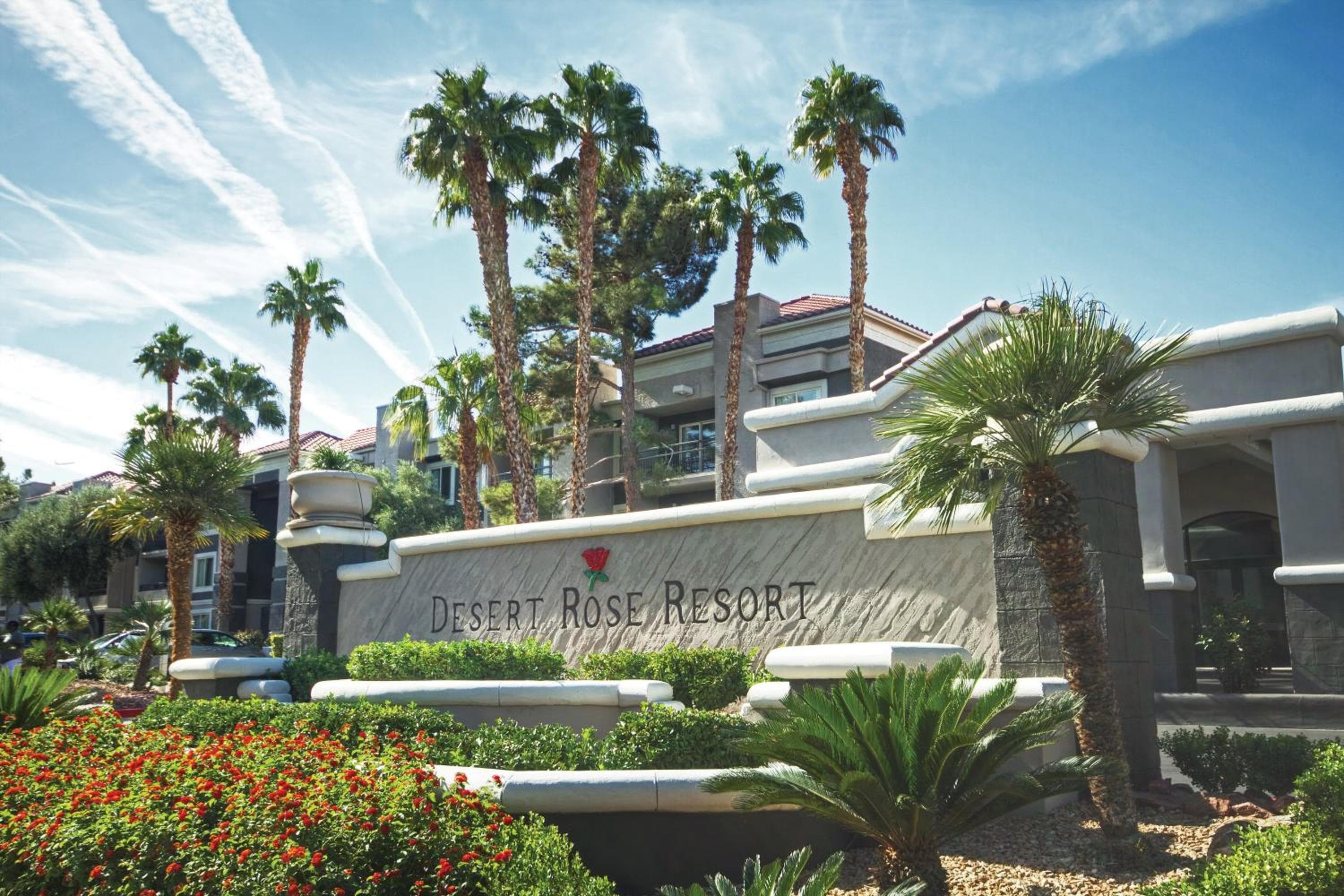 Desert Rose Resort — 19