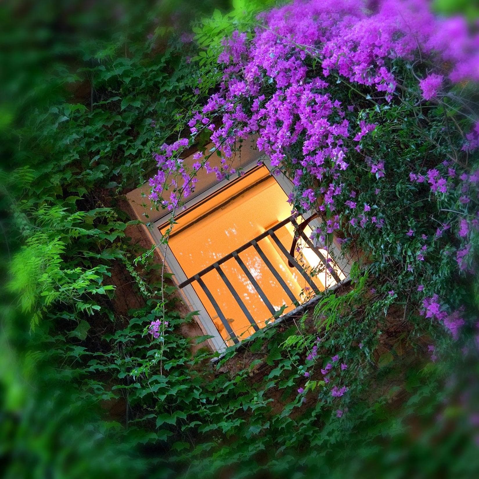 Bio Hotel Raphael - Relais & Châteaux — 26