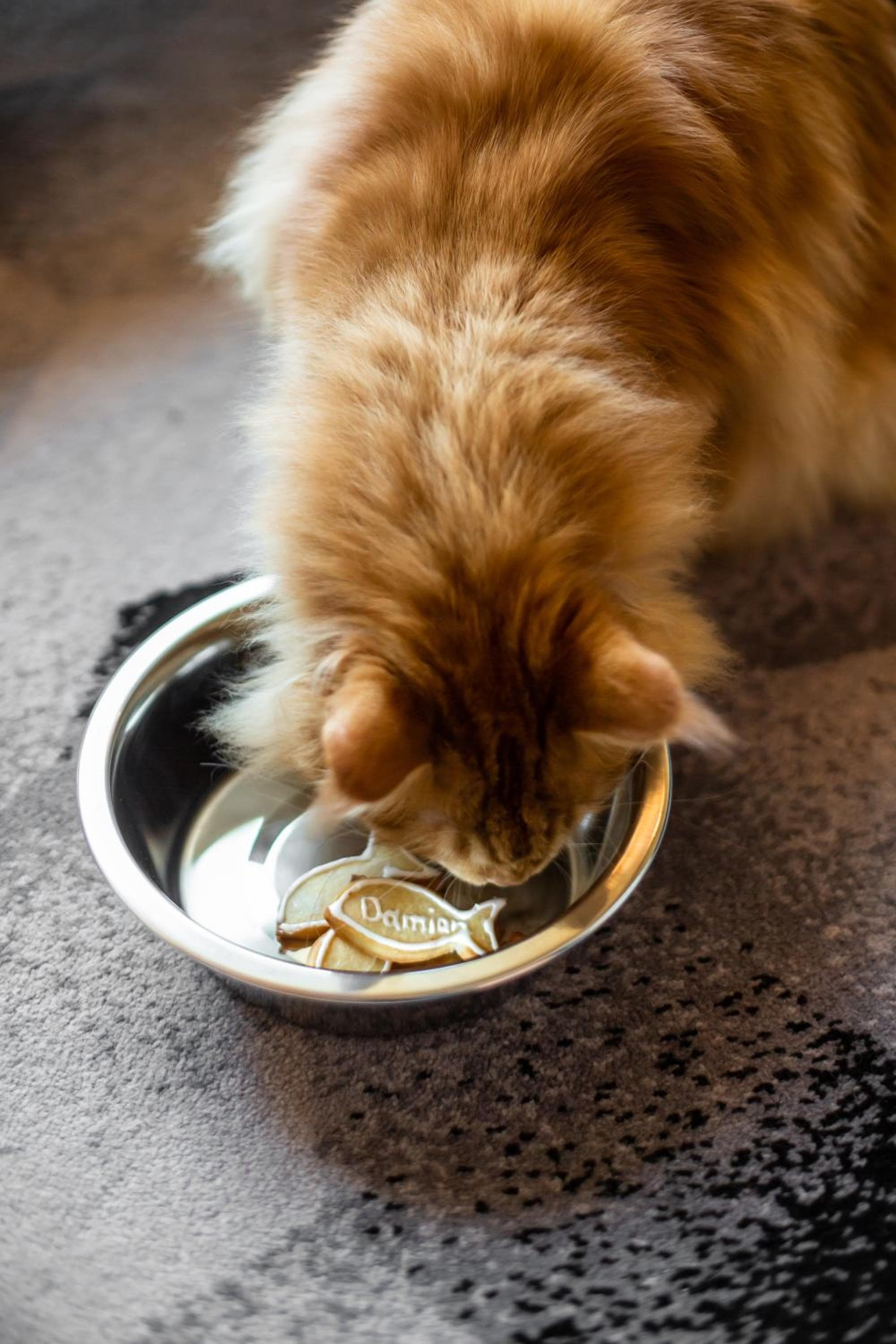 Sofitel Mexico City Reforma hotel, 297 Avenue Paseo De La Reforma, Mexico City, Mexico — photo 63