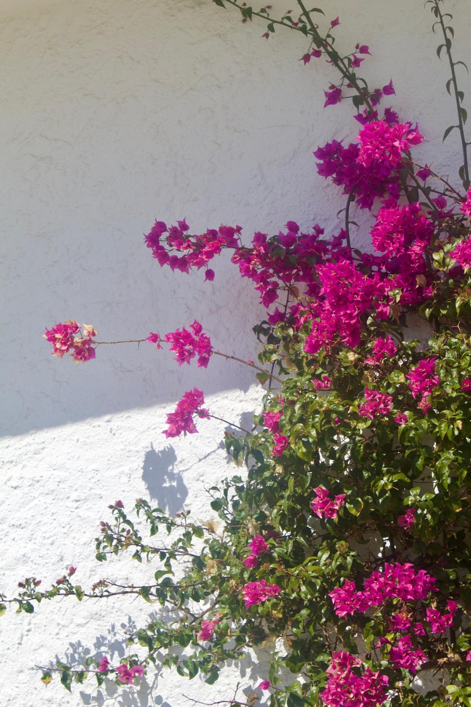 Luxury B&B Villa Tauro — 23