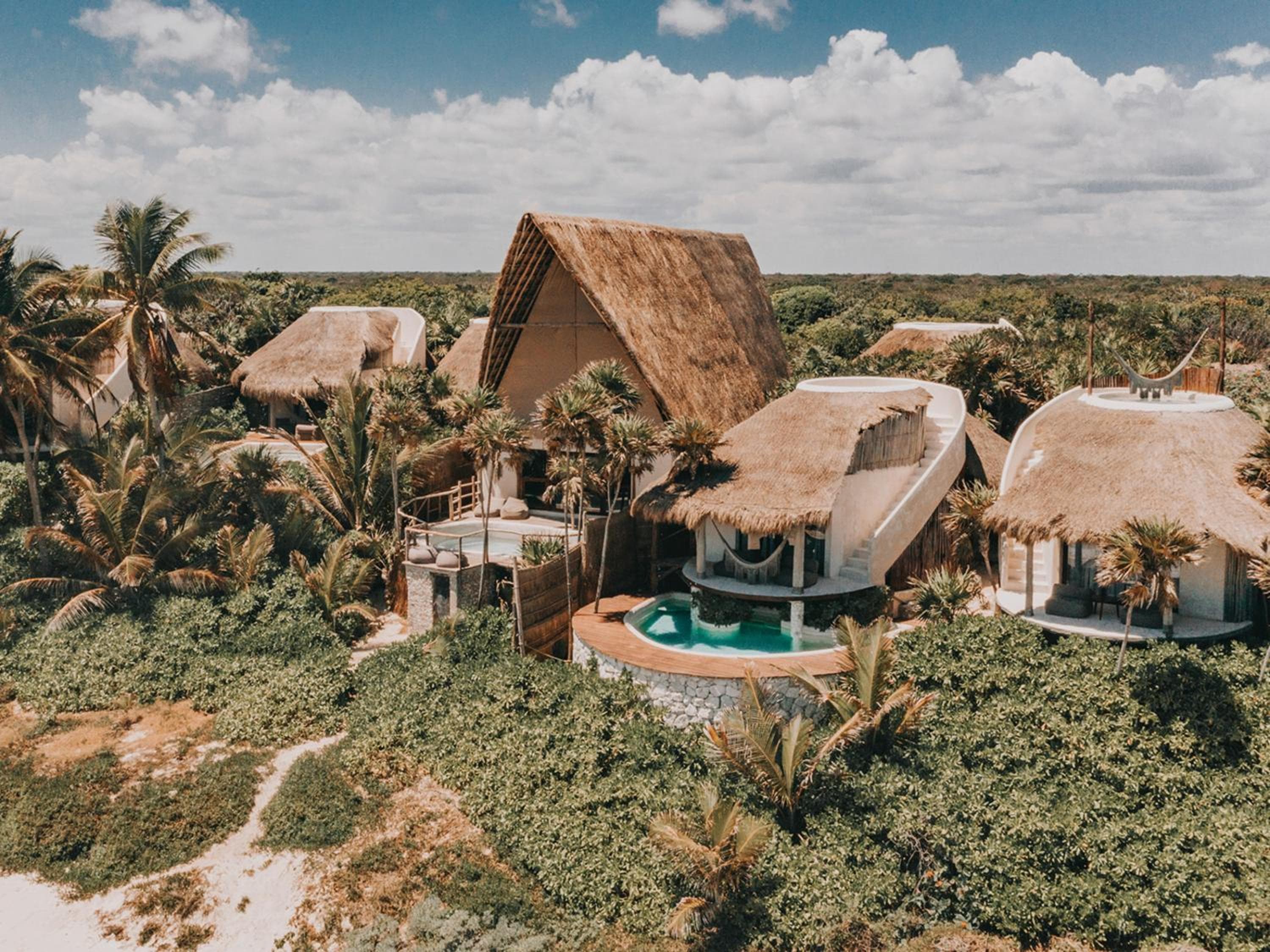 Progetto Papaya Playa — 1