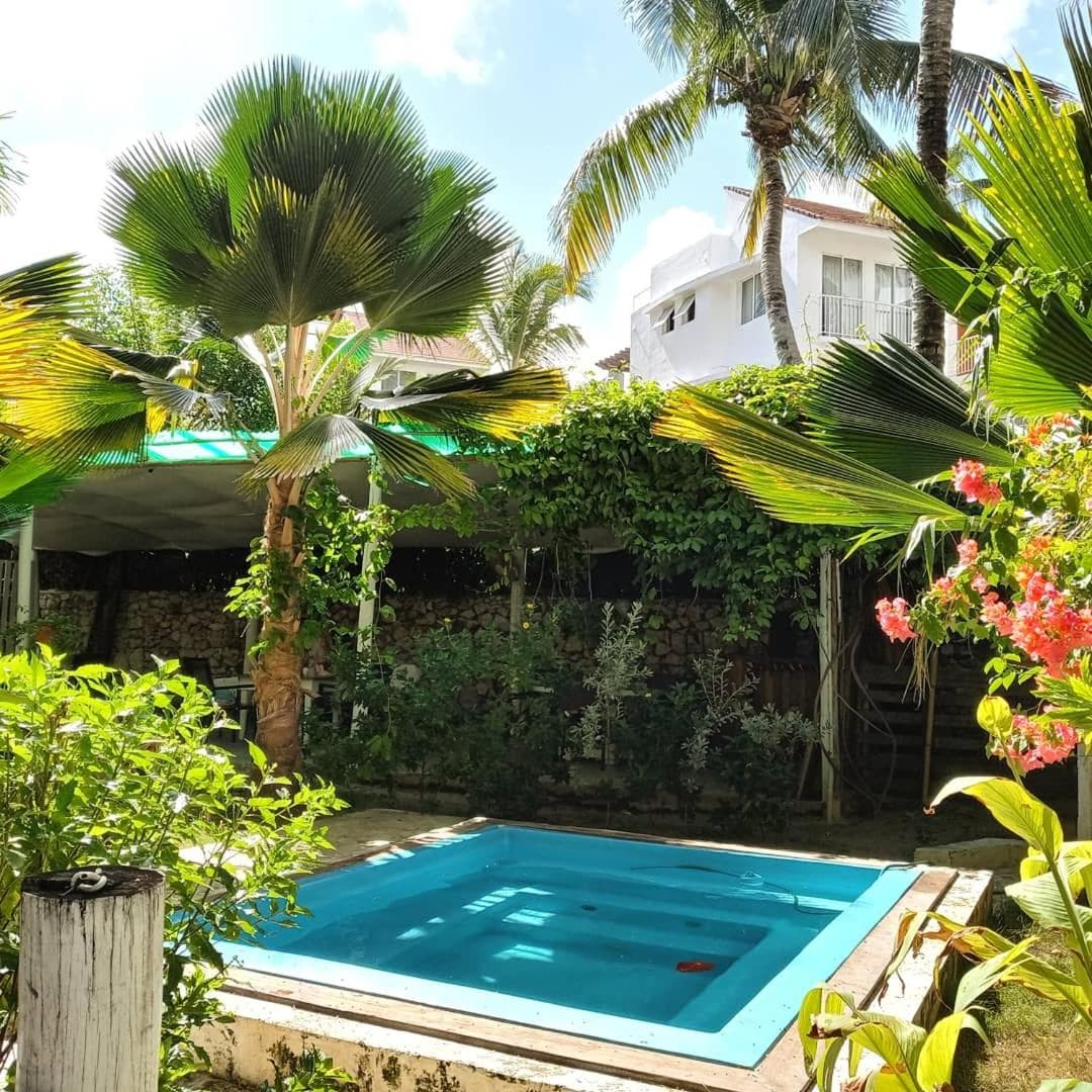 Viaggiatori ecologici della Riviera Punta Cana — 3