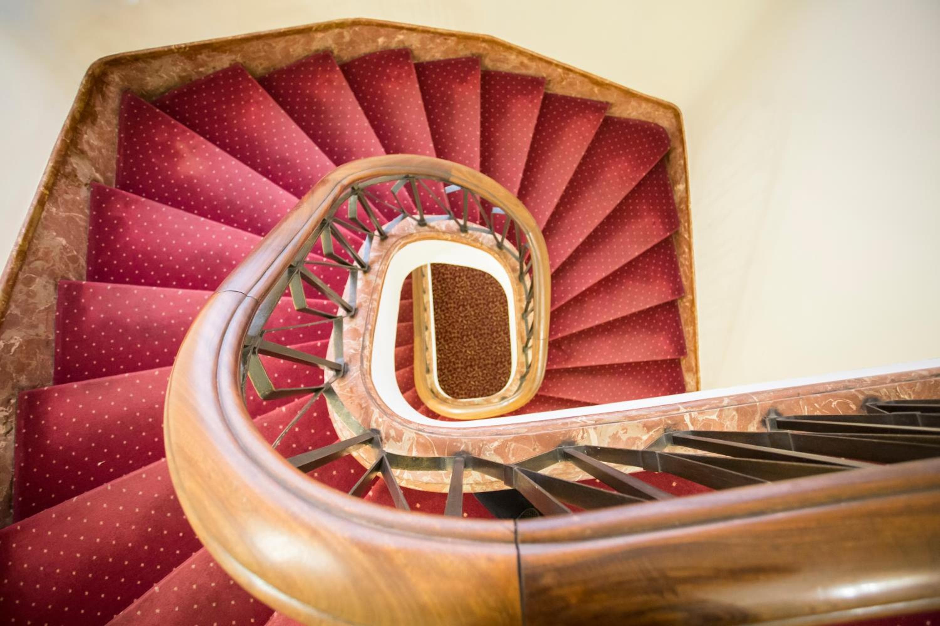 Hotel Napoleon — 7