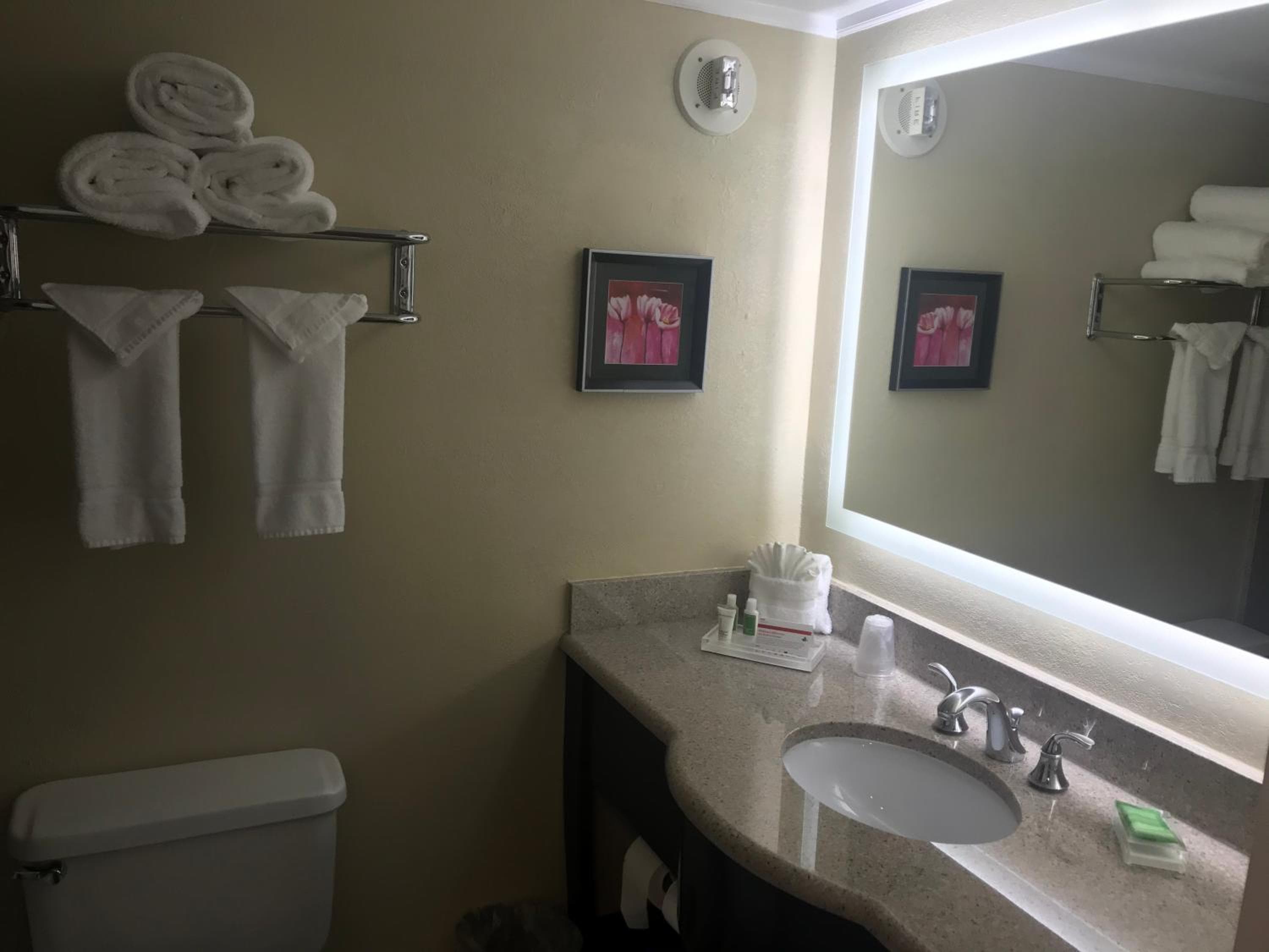 Holiday Inn Orlando East-UCF Area by IHG — 11
