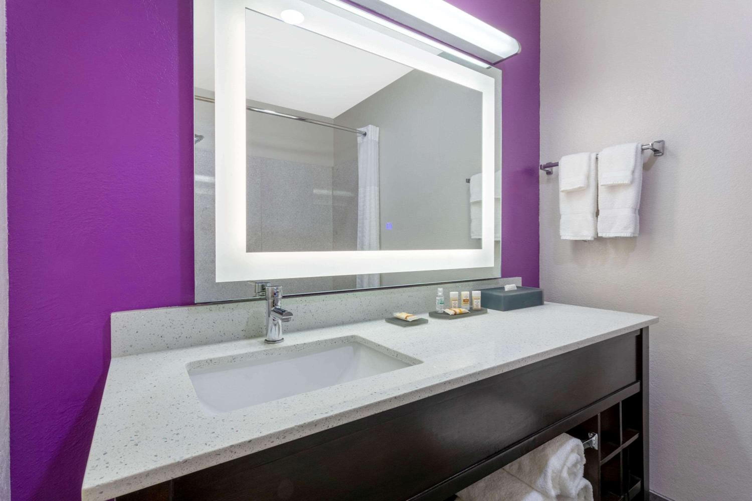 La Quinta by Wyndham Tampa Bay Area-Tampa South — 22