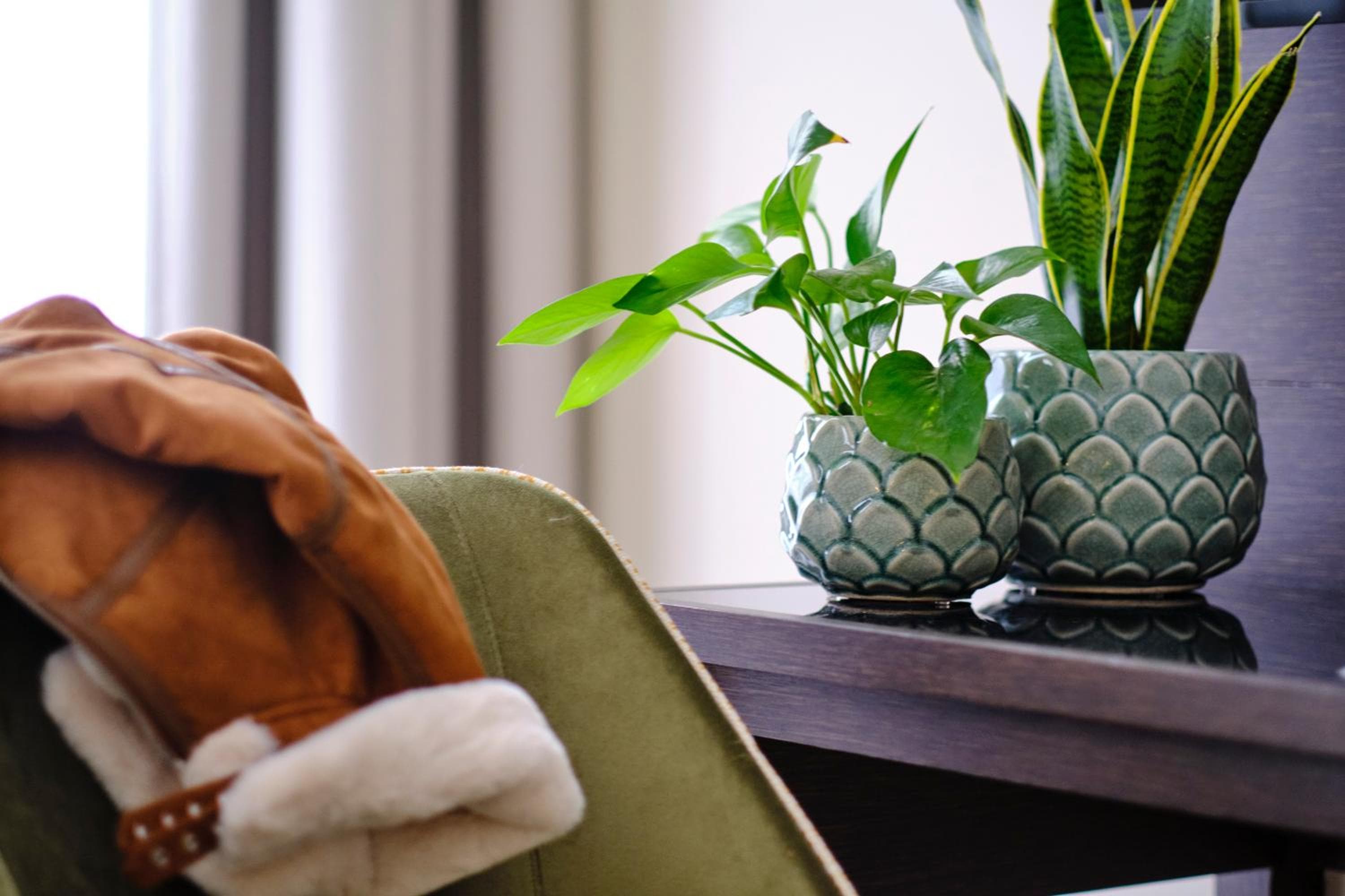 The Clermont London, Victoria hotel, 101 Buckingham Palace Road, London, United Kingdom — photo 93