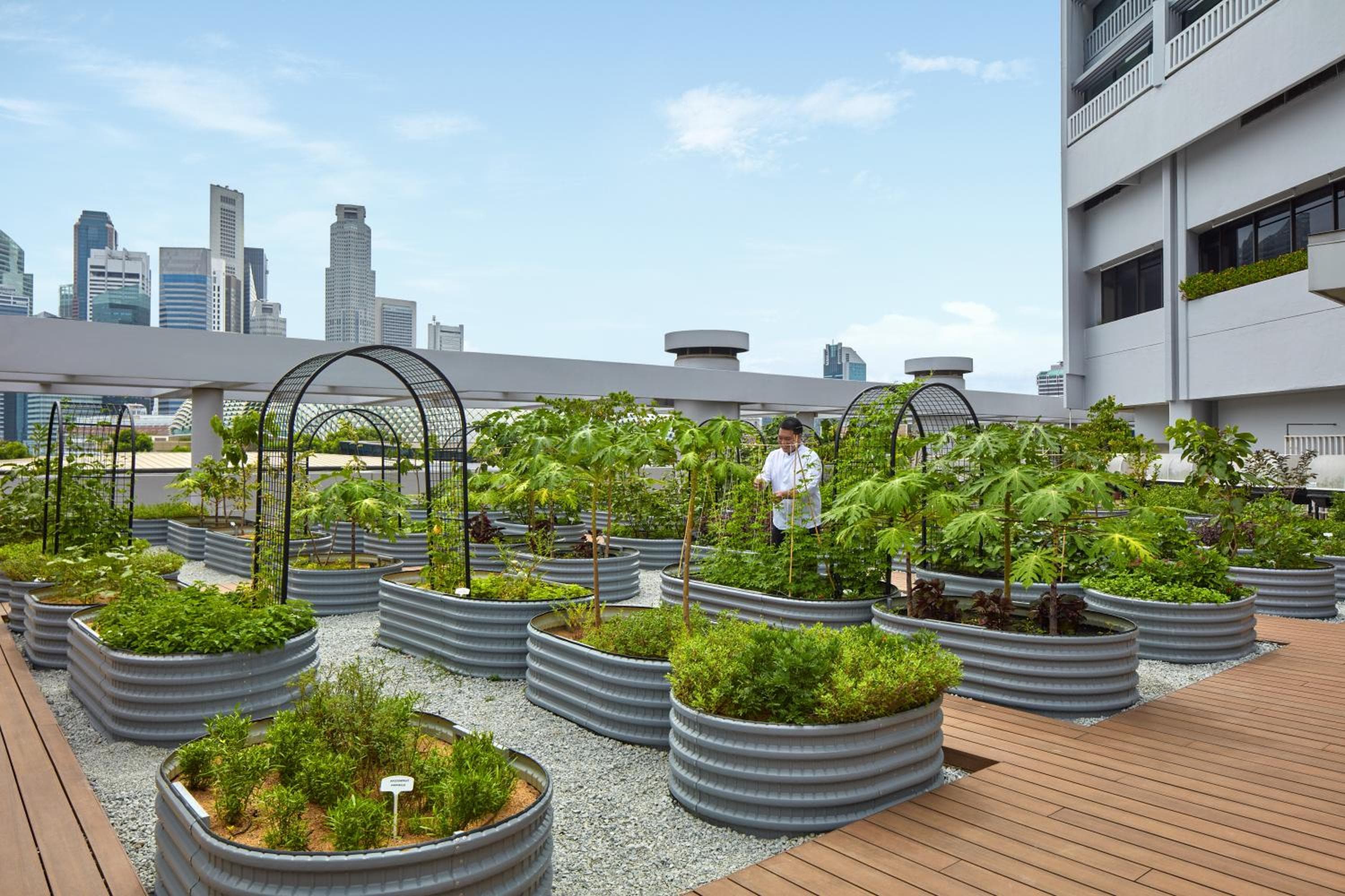 PARKROYAL COLLECTION Marina Bay, Singapore hotel, 6 Raffles Boulevard, Marina Square, Singapore, Singapore — photo 29