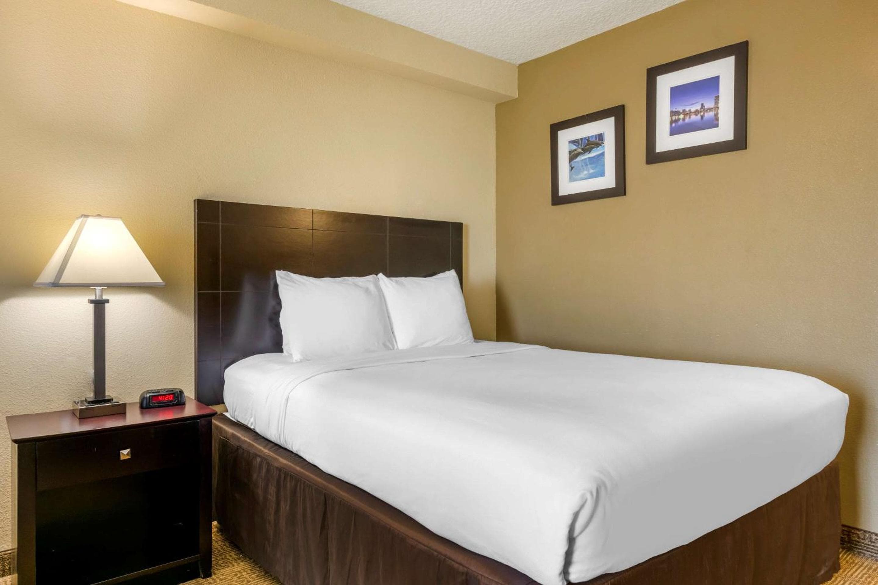 Comfort Inn International Drive — 15