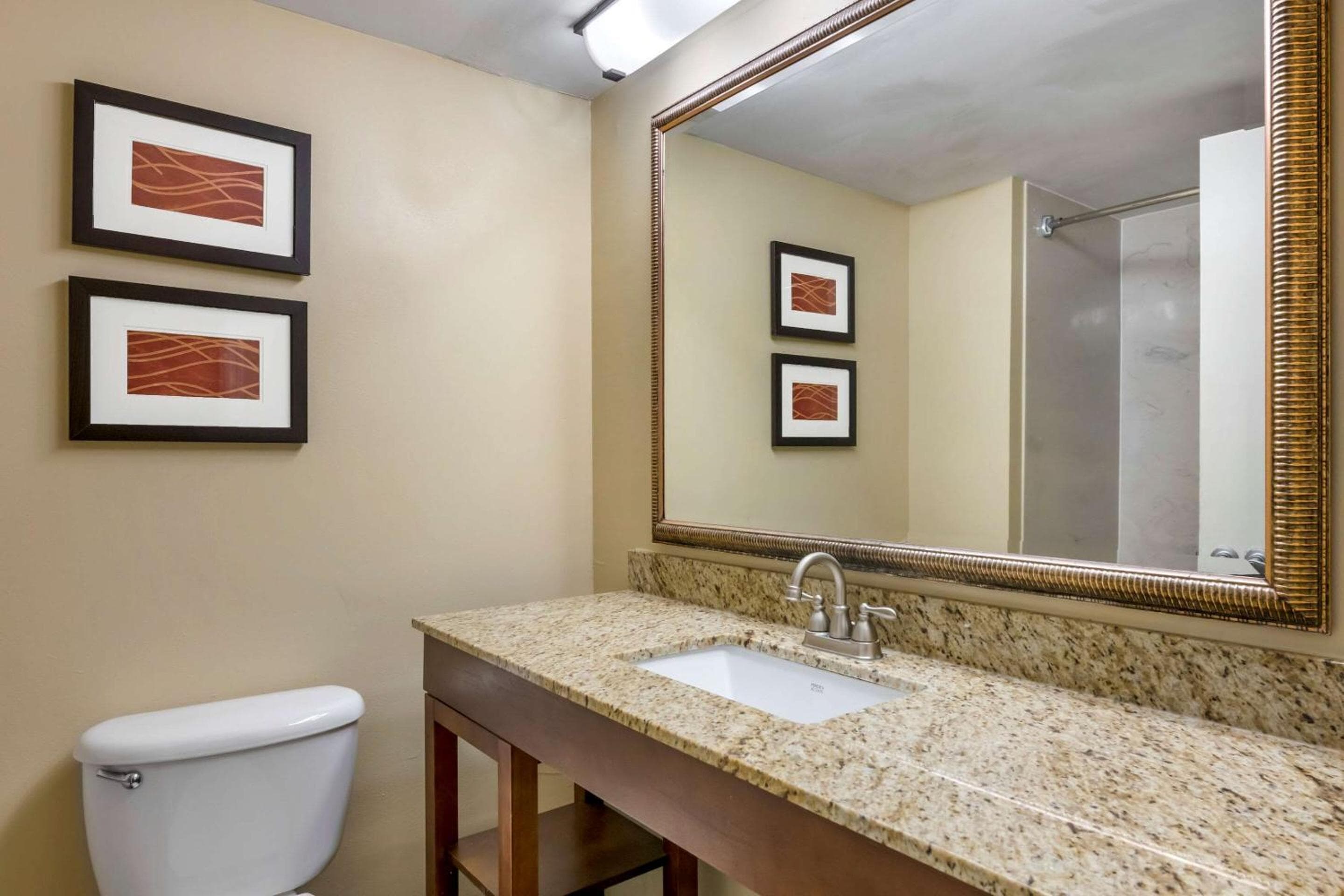 Comfort Inn International Drive — 17
