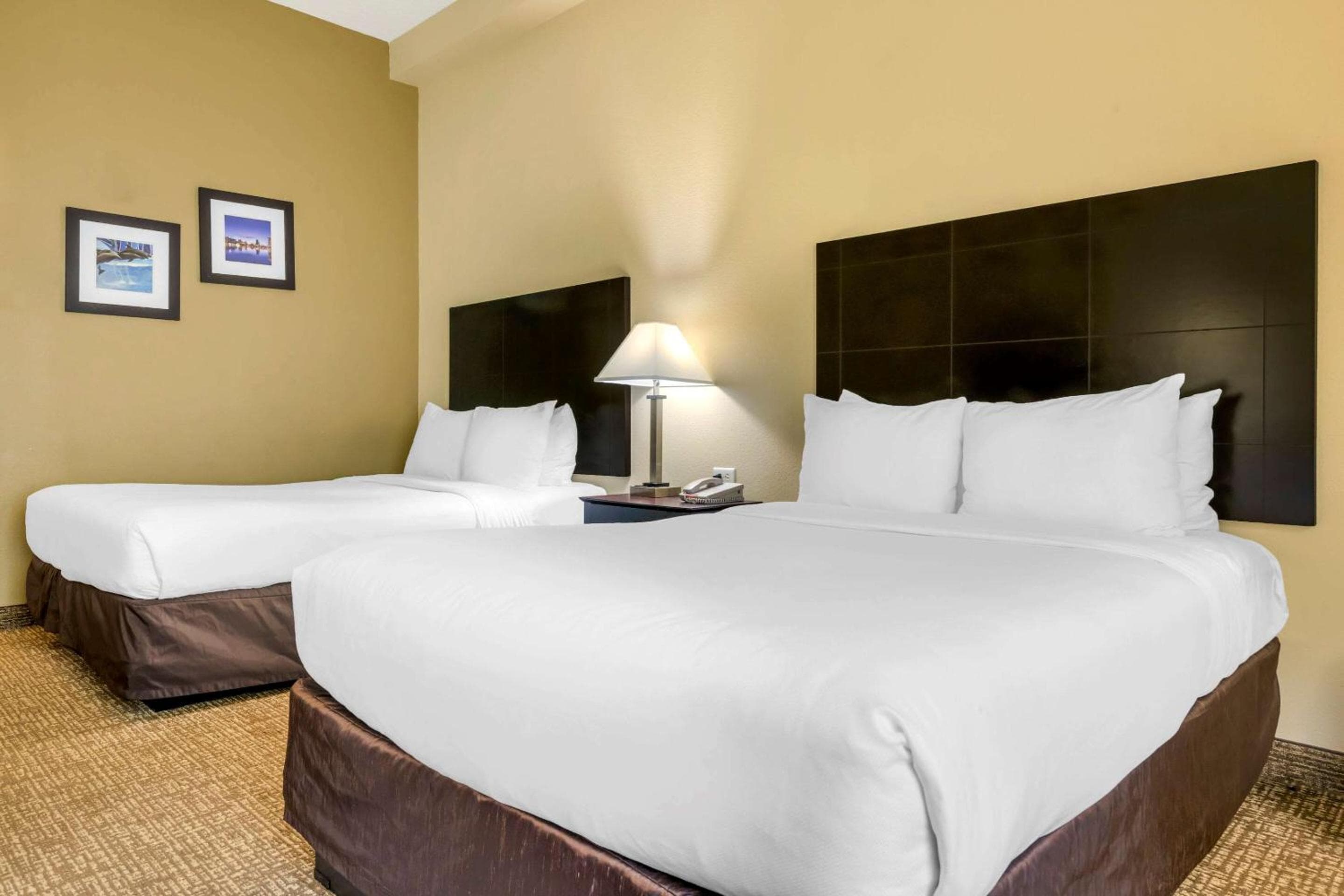 Comfort Inn International Drive — 9