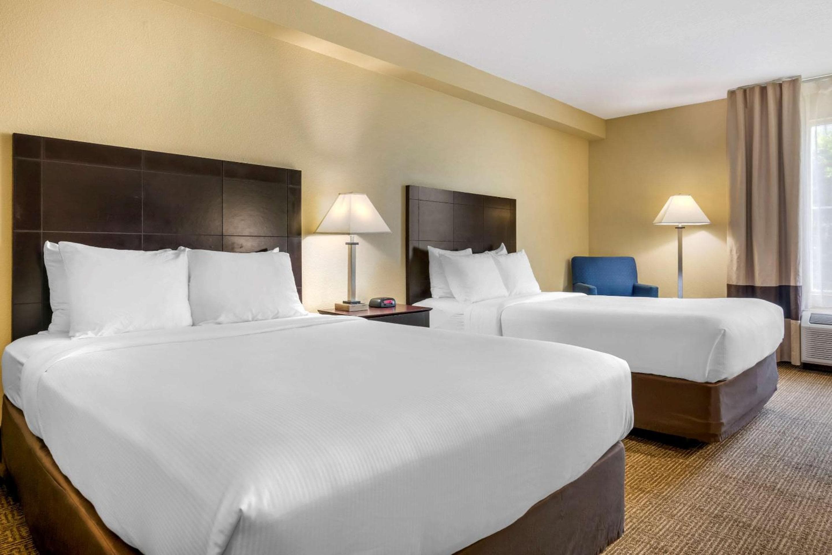 Comfort Inn International Drive — 22
