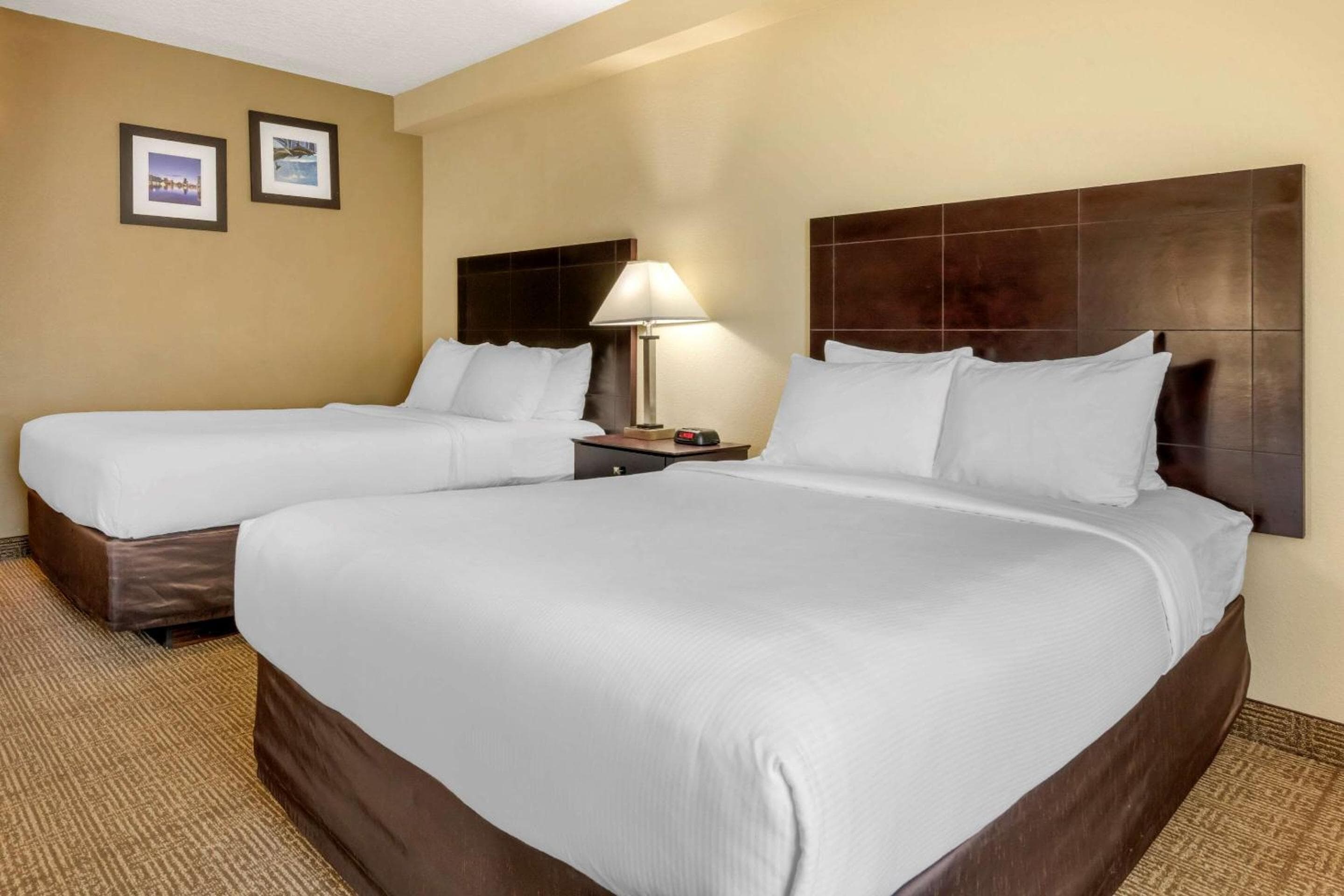 Comfort Inn International Drive — 23