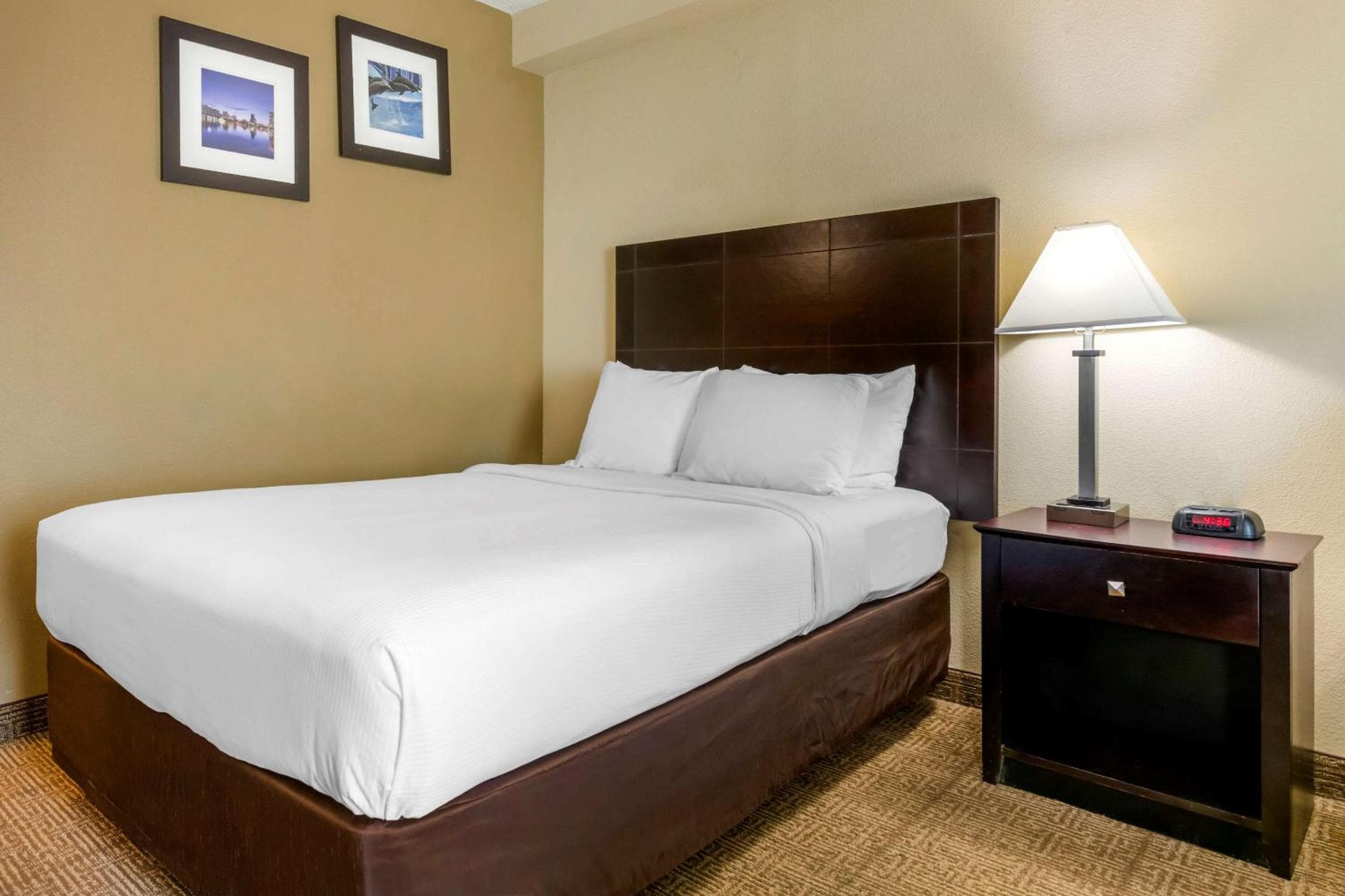 Comfort Inn International Drive — 24