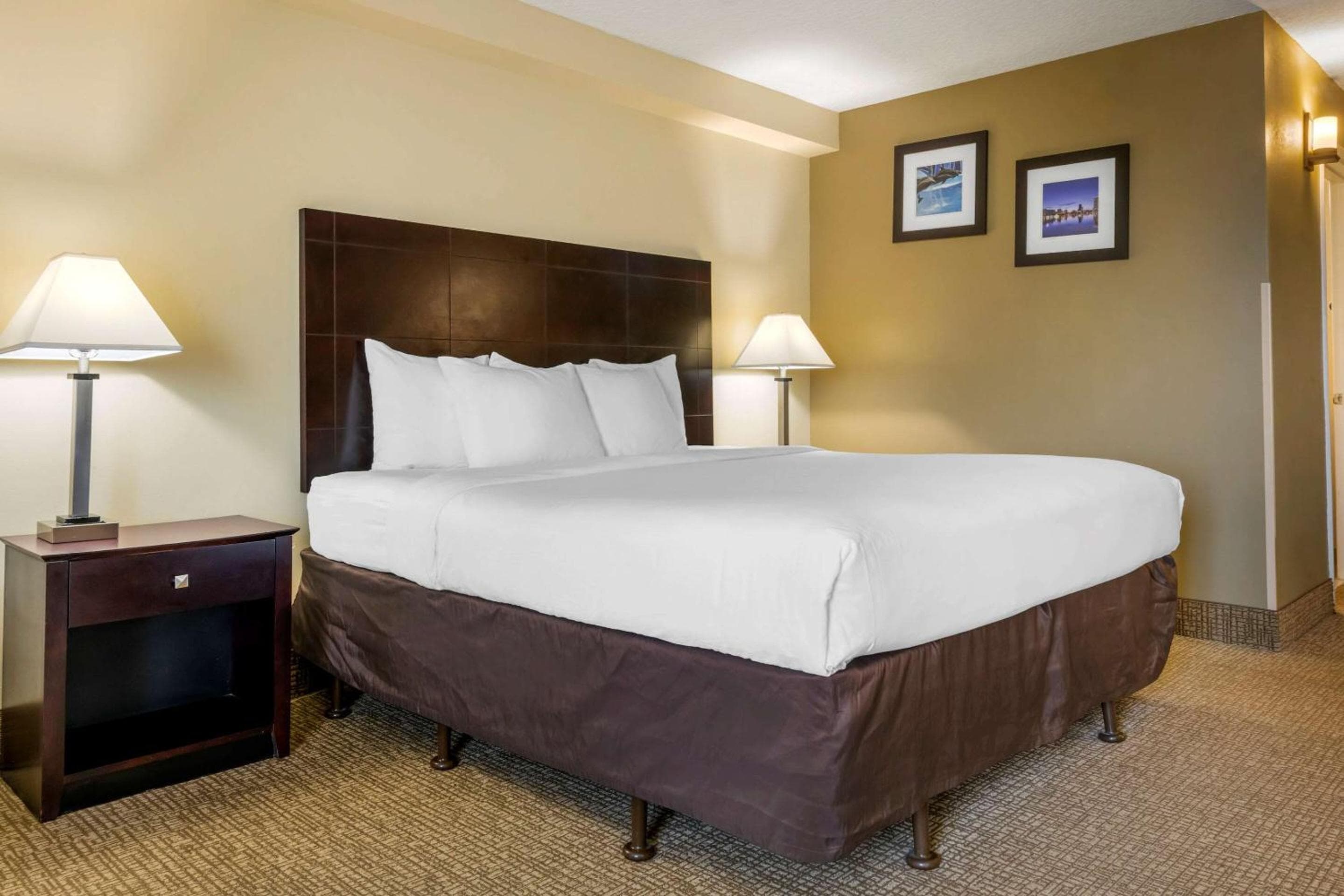 Comfort Inn International Drive — 19