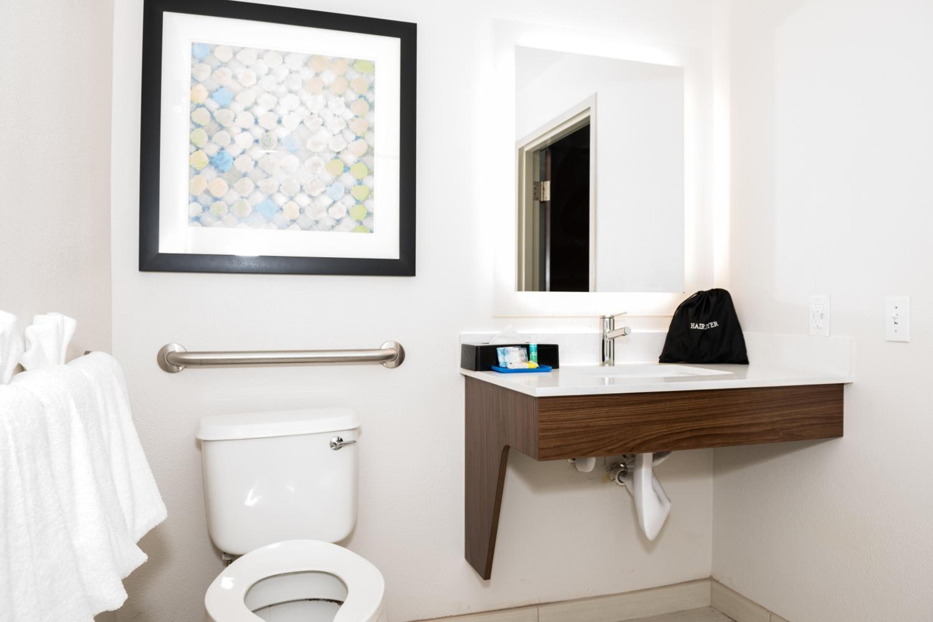 Holiday Inn Express Hotel & Suites Tampa-USF-Busch Gardens by IHG — 15
