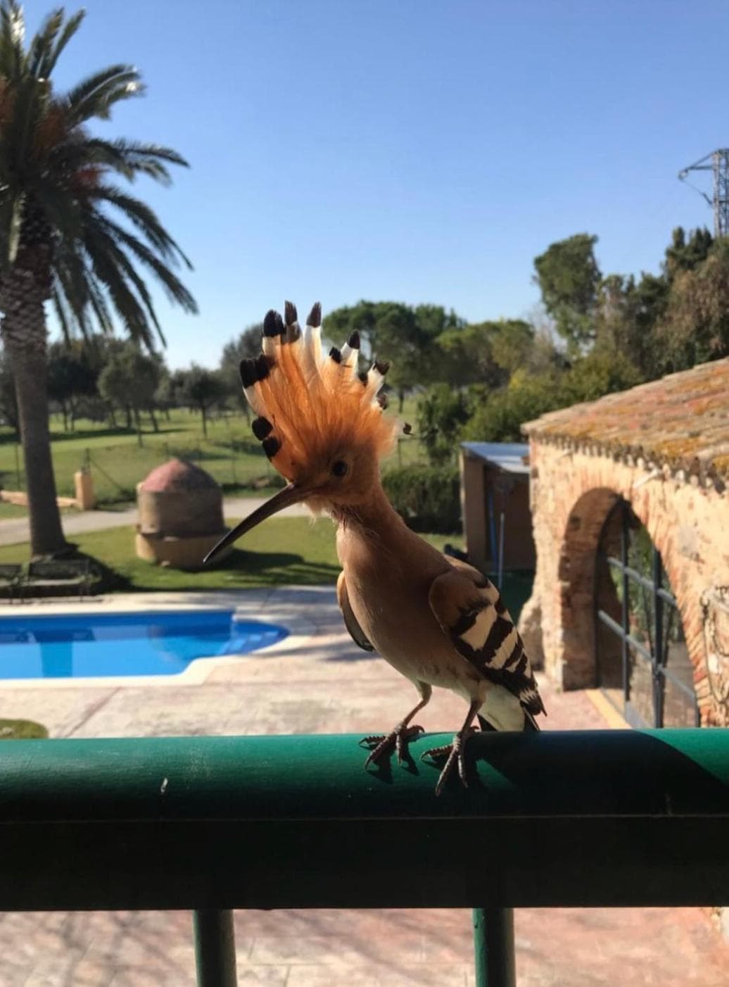 Hotel & Golf Ca La Caputxeta - Adults Only — 13