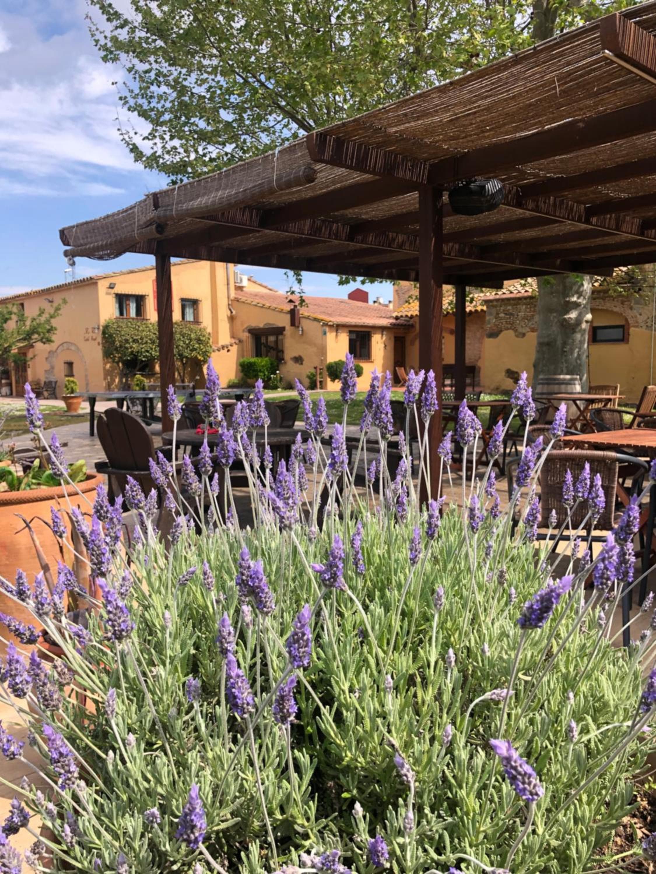 Hotel & Golf Ca La Caputxeta - Adults Only — 21