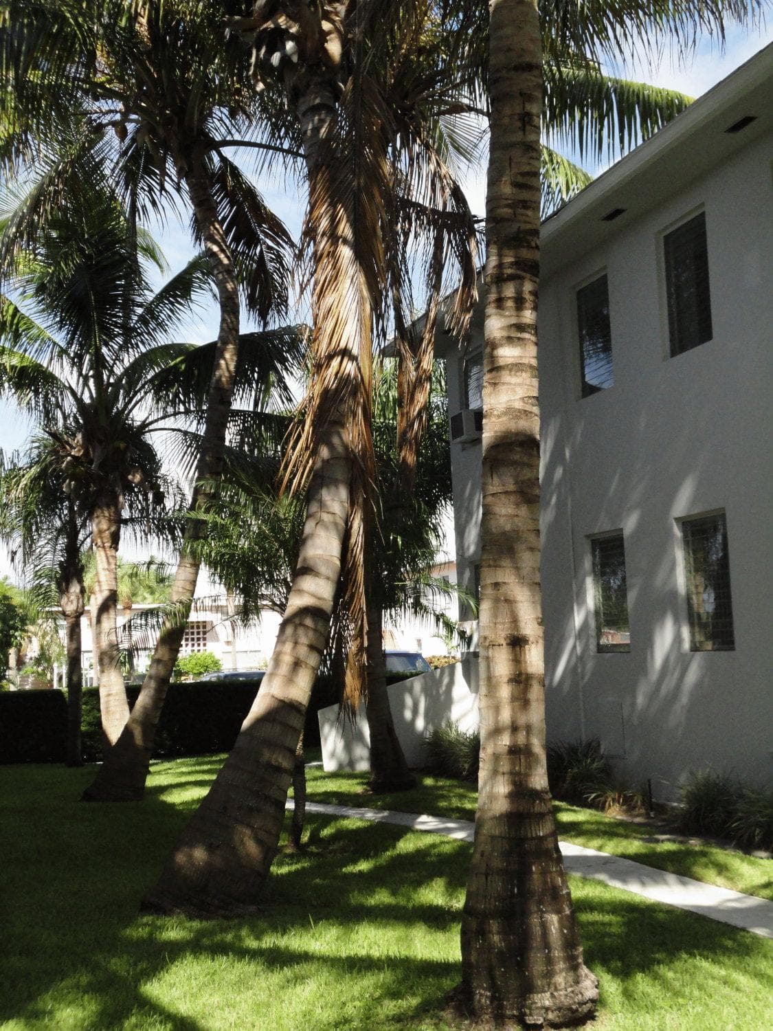 Suites Summerland — 1