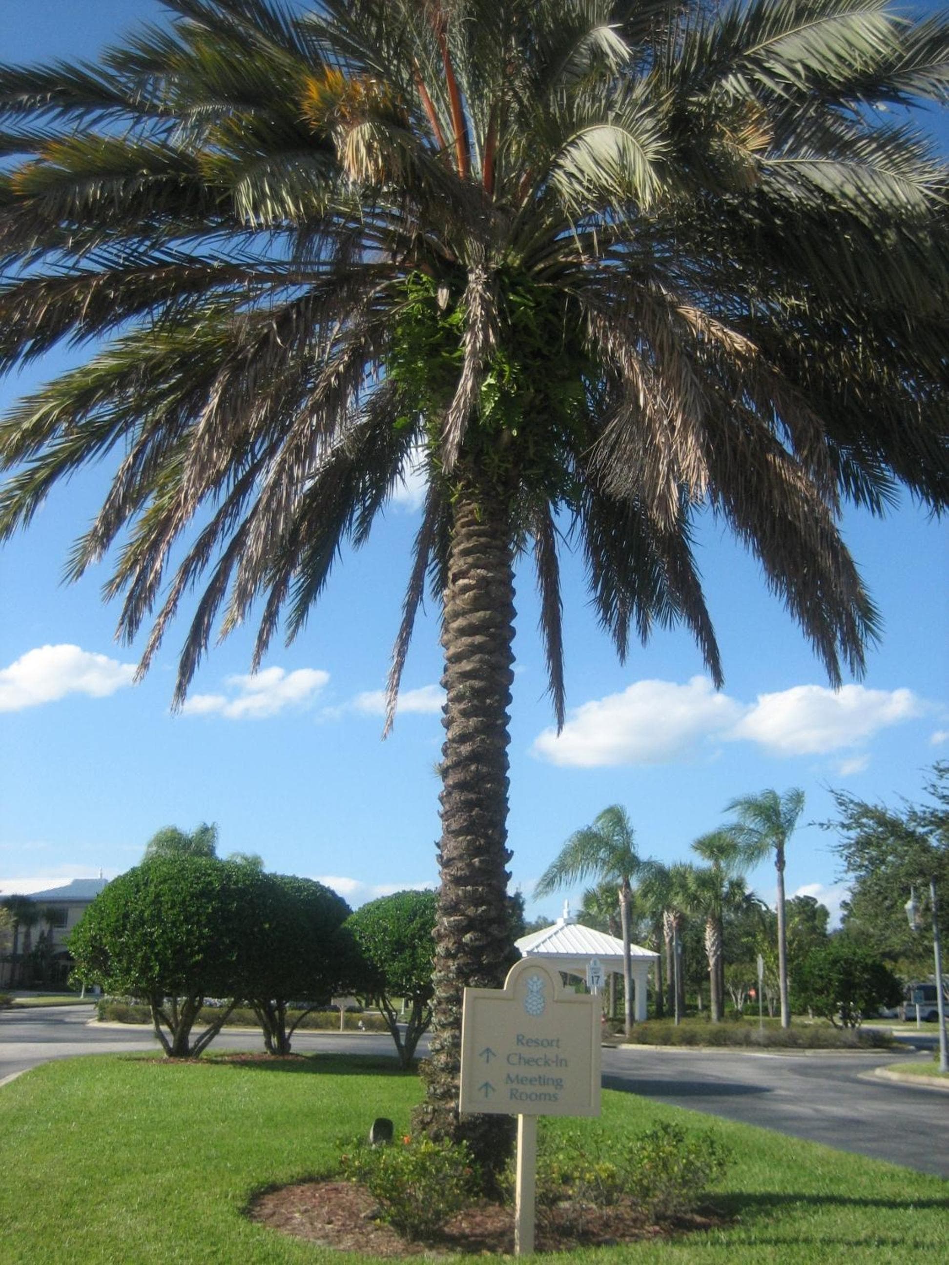 Monumental Hotel Orlando — 18