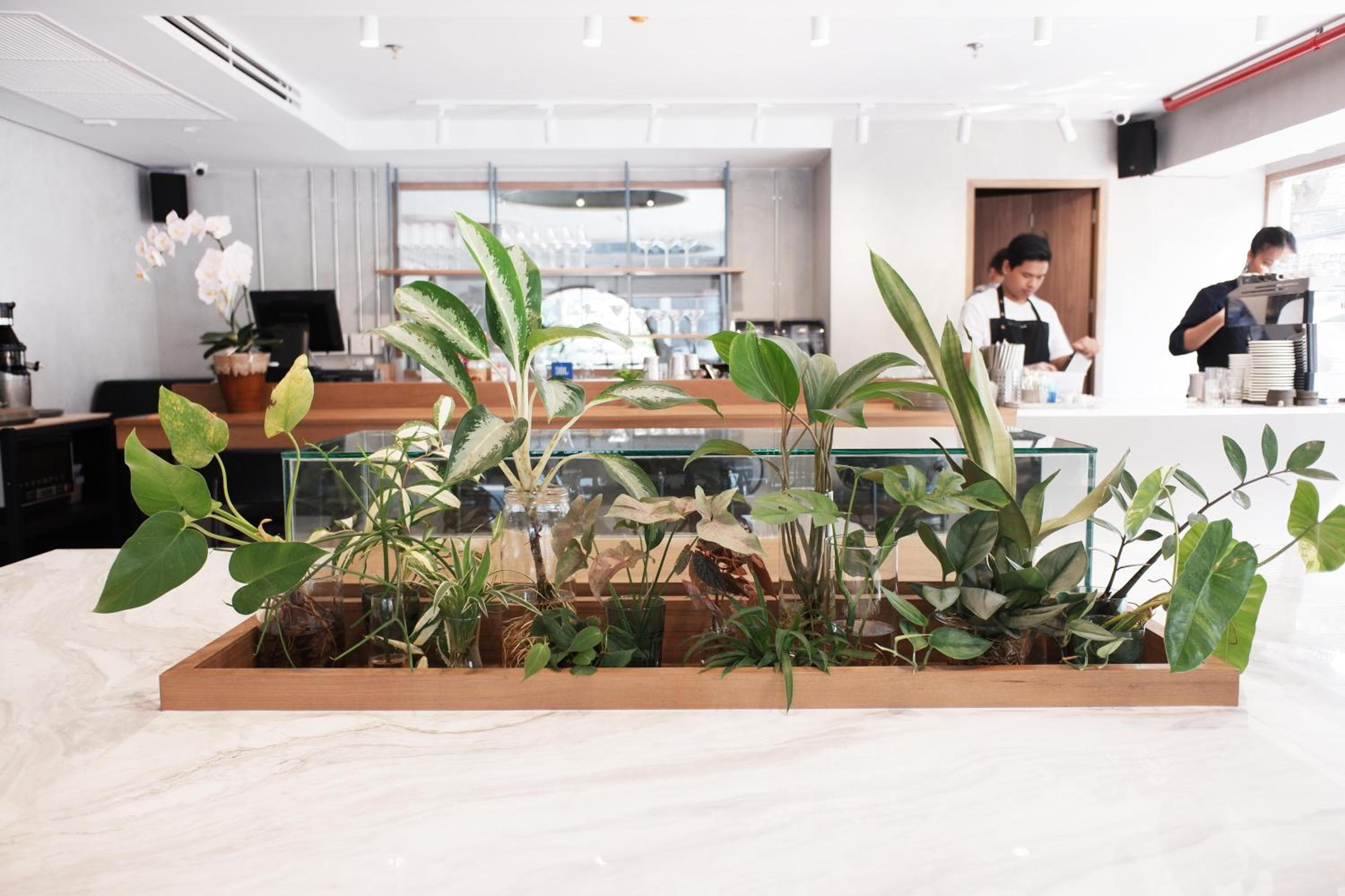 Hotel Saladaeng — 26