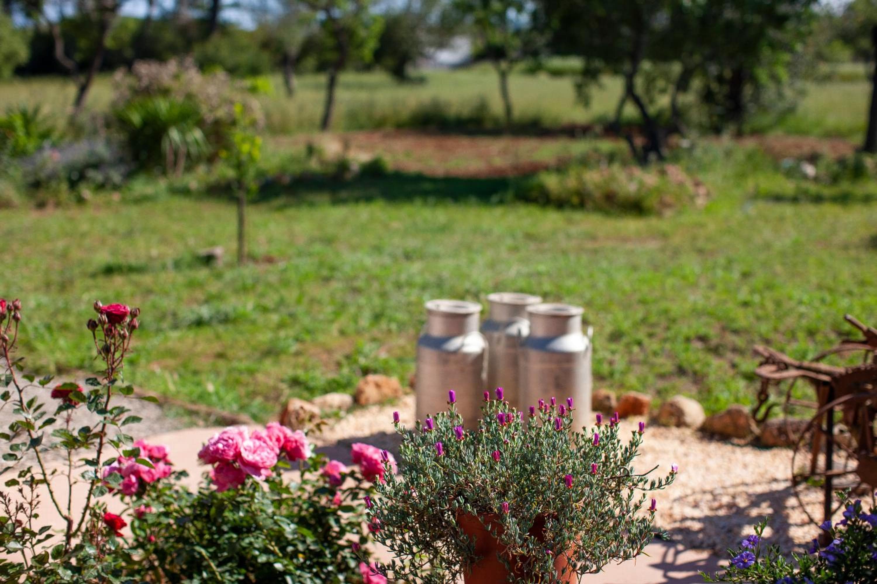 Agriturismo Casa Morna Ibiza — 10