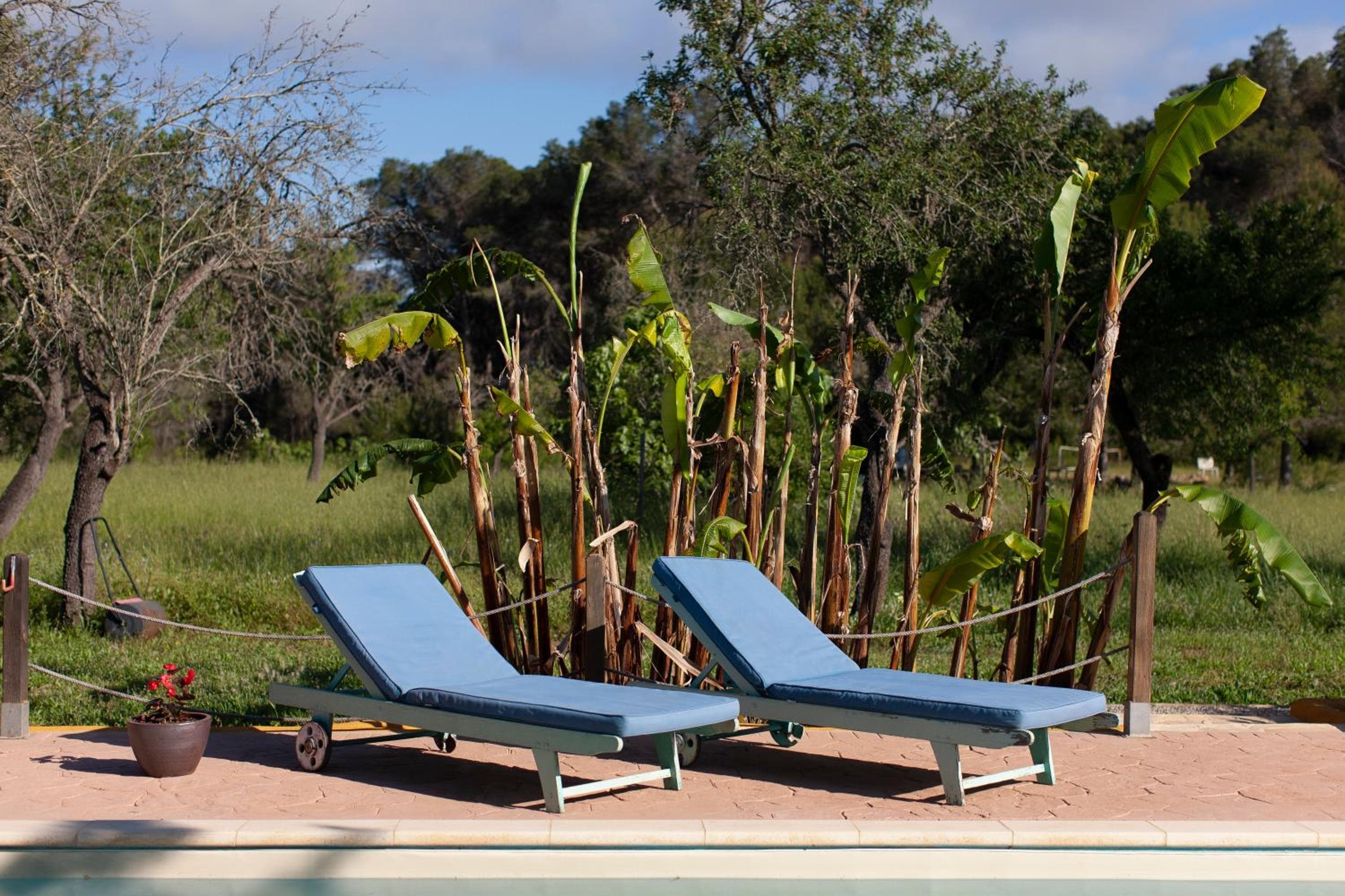 Agriturismo Casa Morna Ibiza — 5