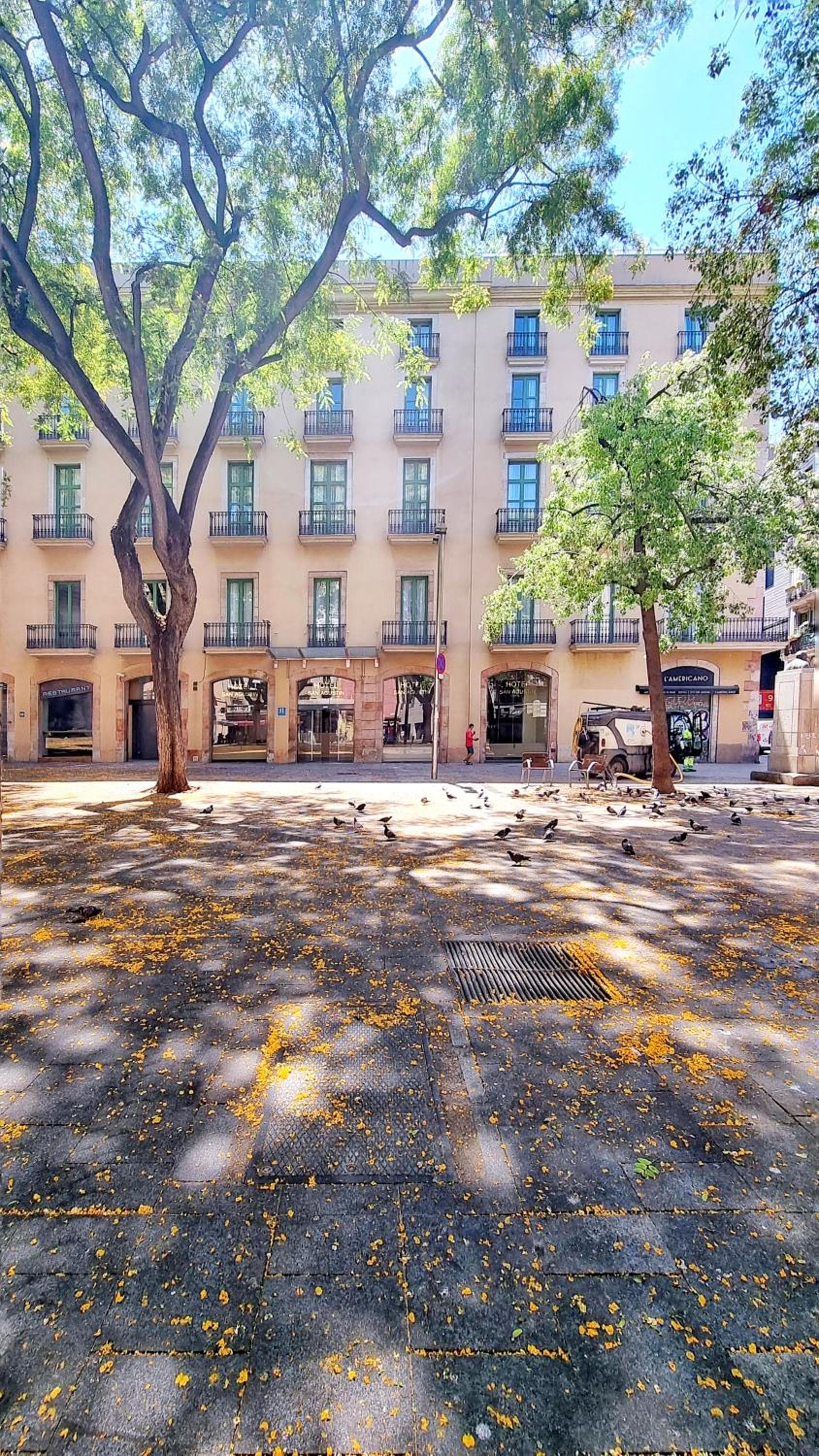 Hotel San Agustín — 27