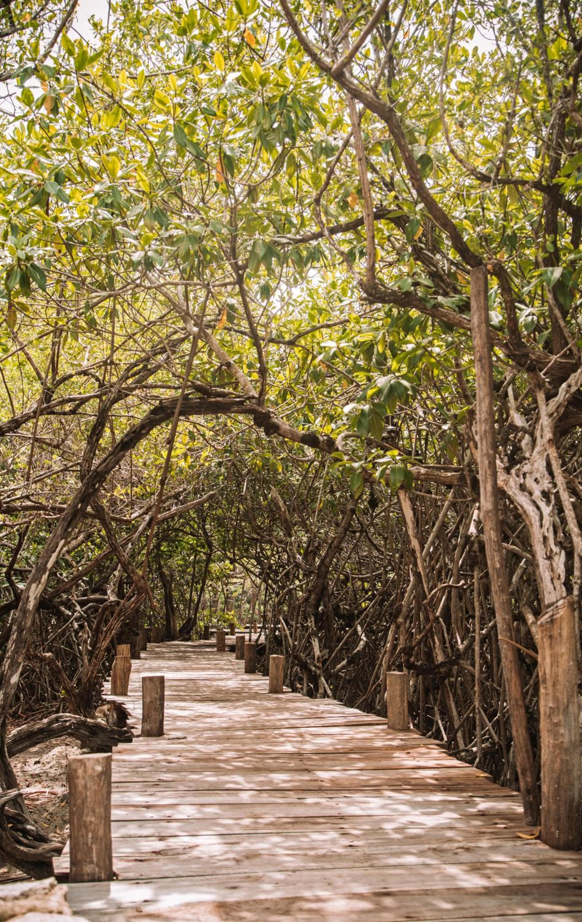 Uman Glamping & Cenote Tulum — 13
