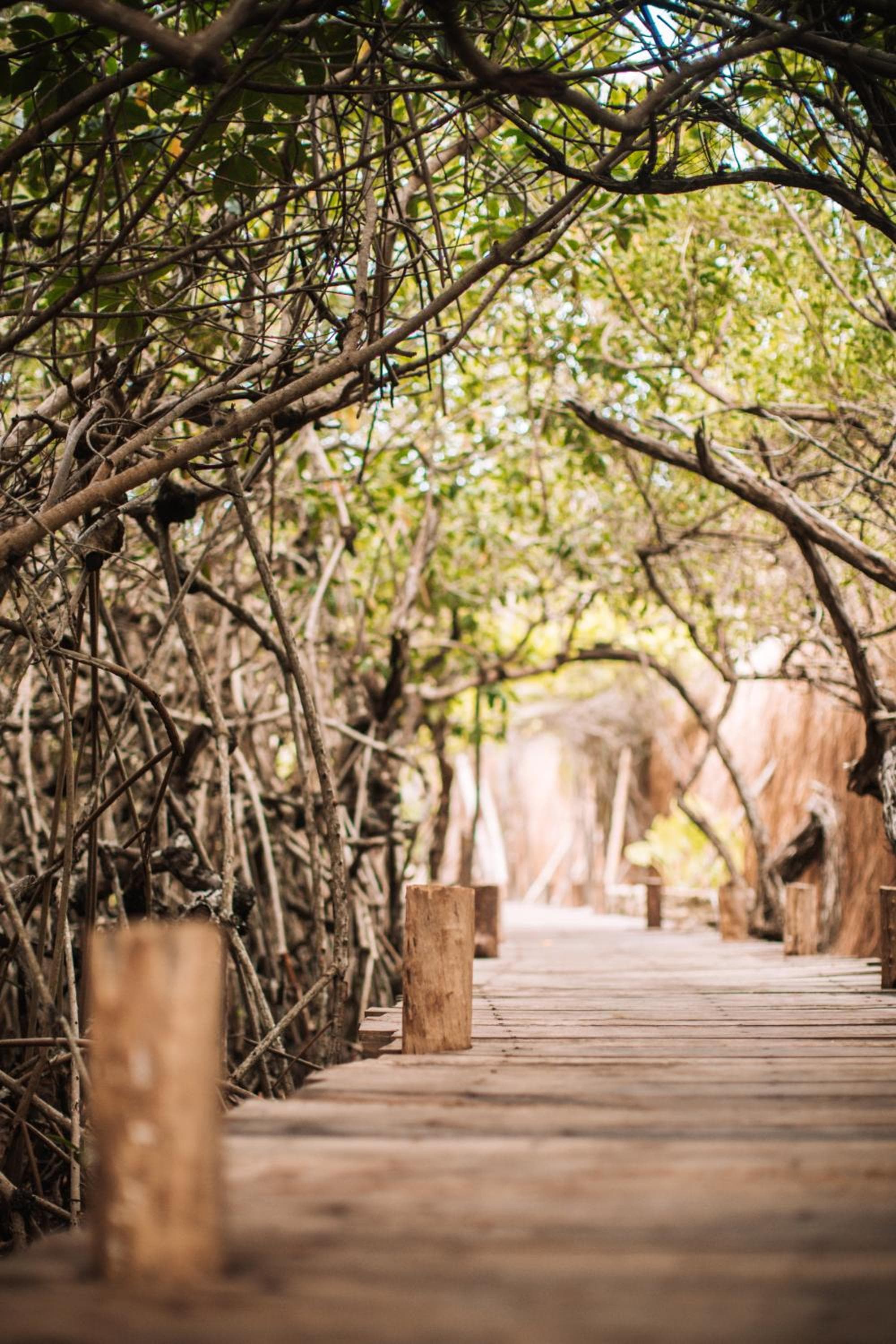 Uman Glamping & Cenote Tulum — 30