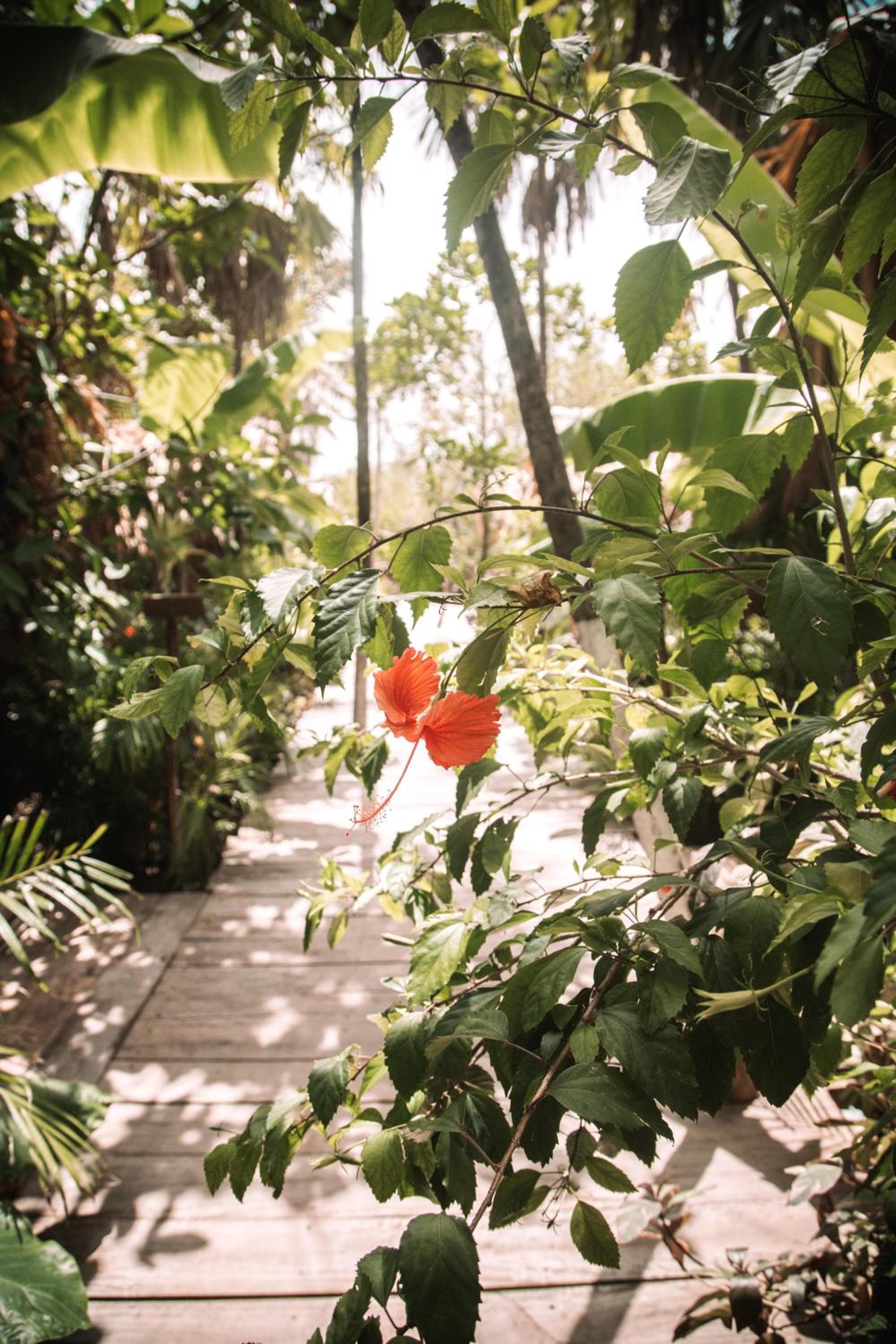 Uman Glamping & Cenote Tulum — 4