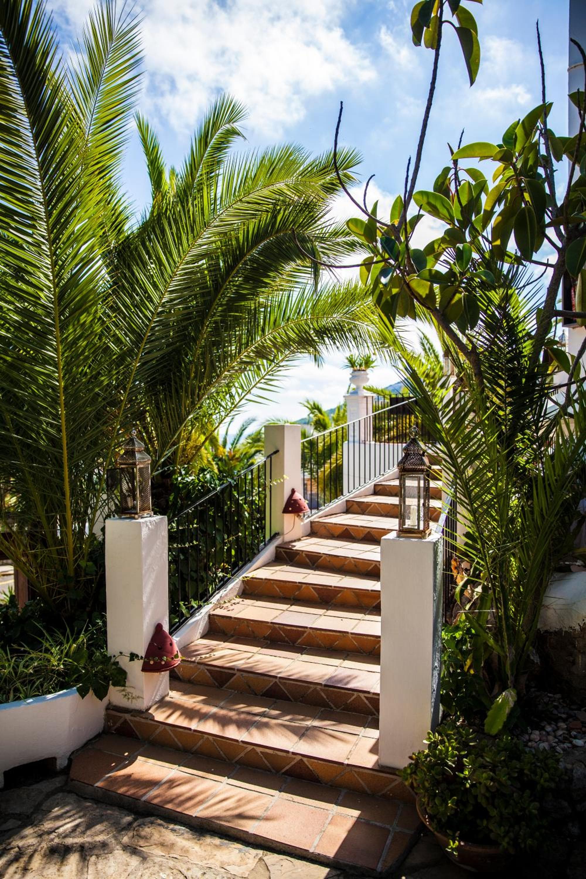 Buenavista & Suites — 27