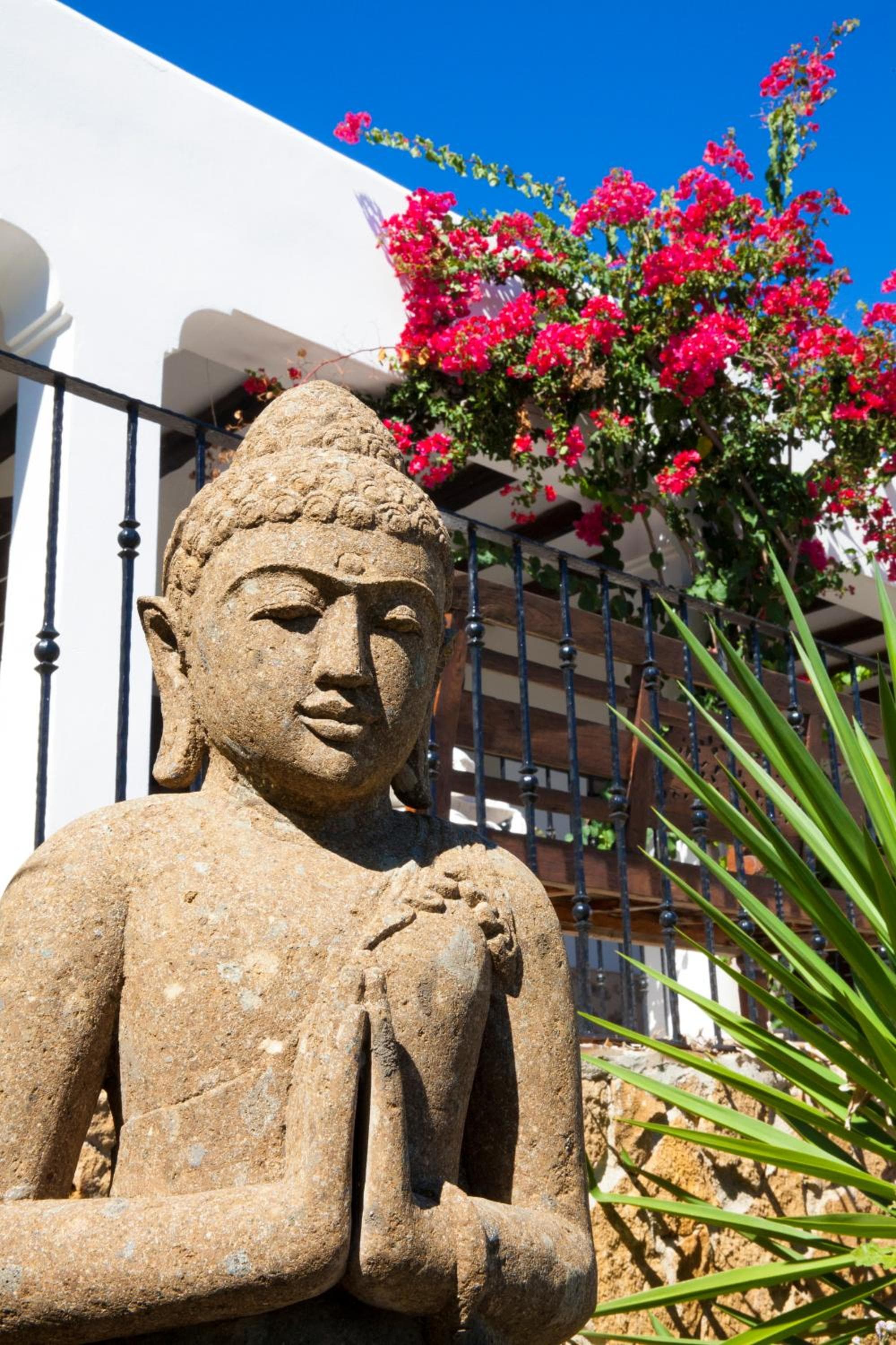 Buenavista & Suites — 25