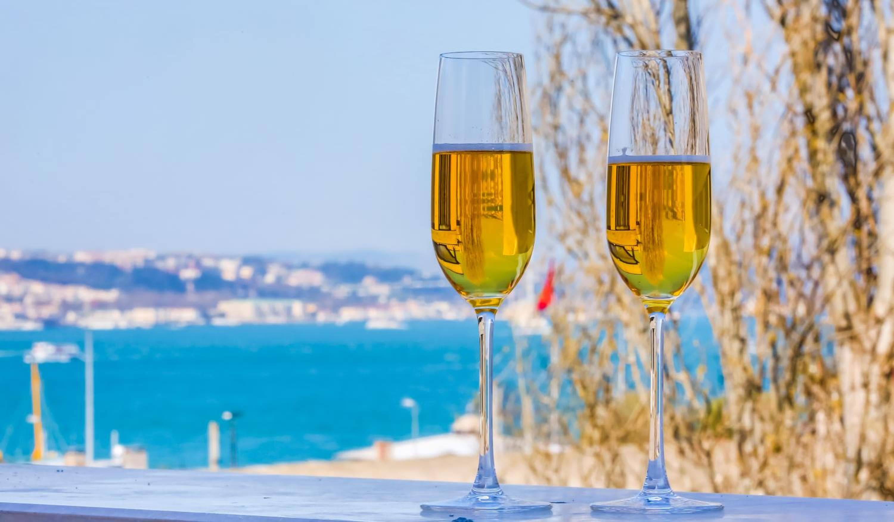 Barbera Hotel — 10