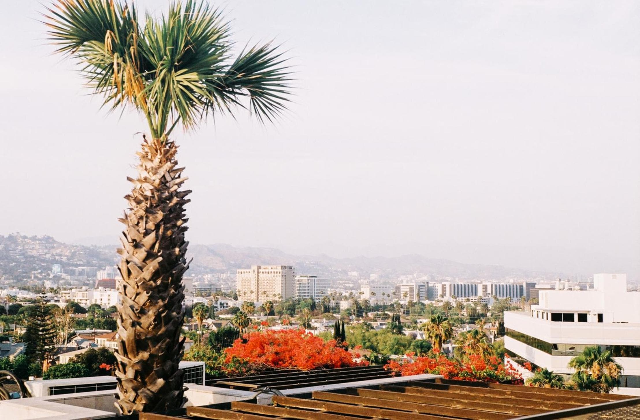 SIXTY Beverly Hills — 22