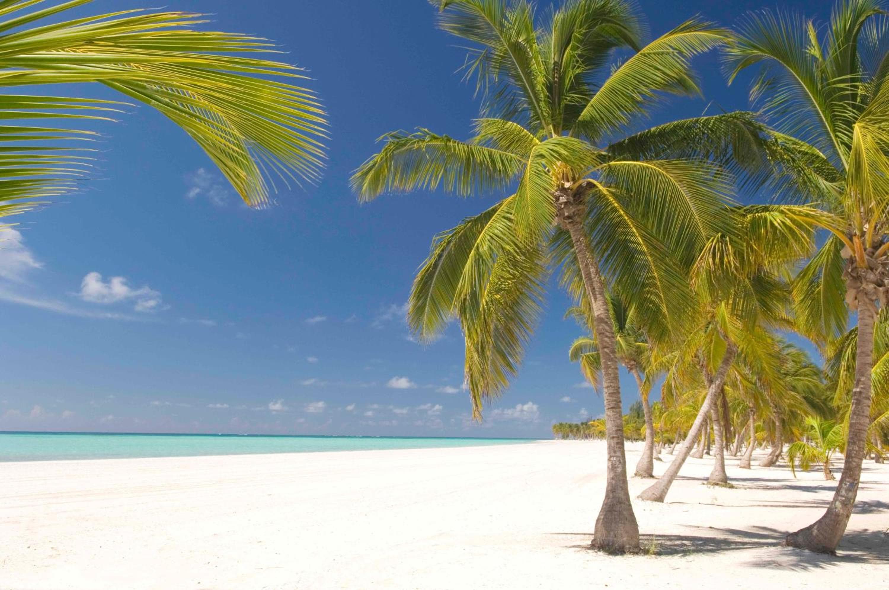 Lodge de pesca Cap Cana — 22