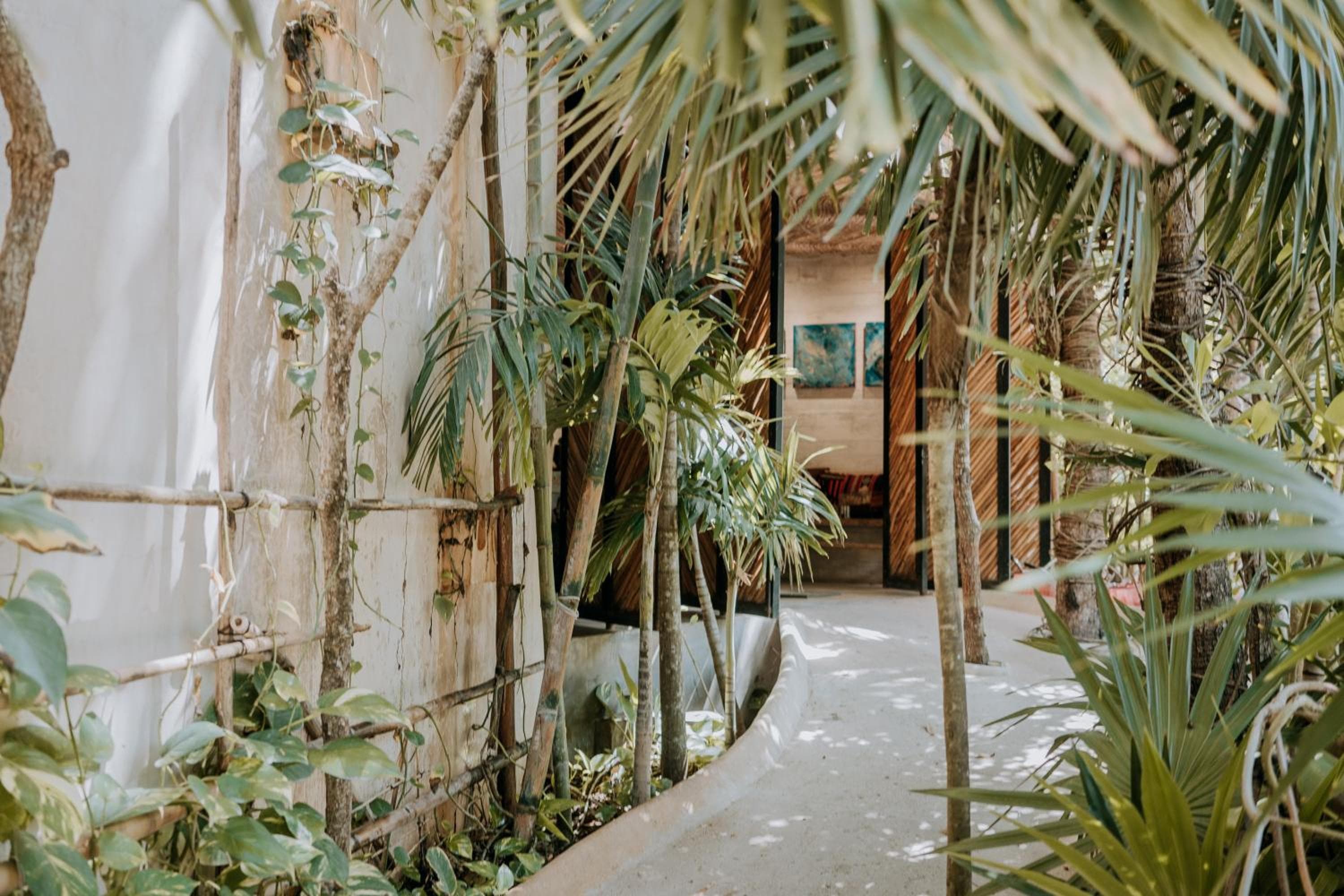 Orchid House Tulum Jungle — 8