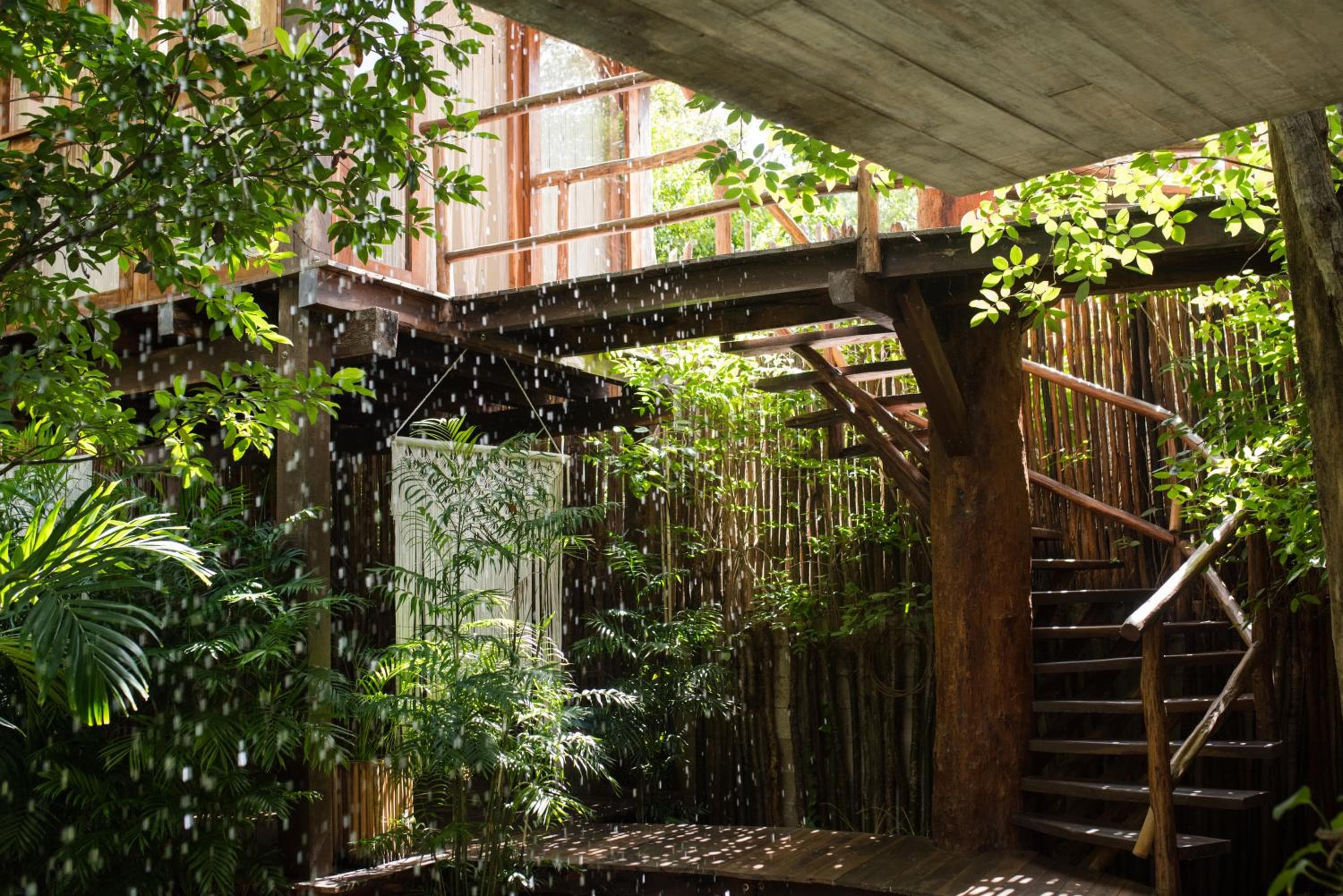 Orchid House Tulum Jungle — 6