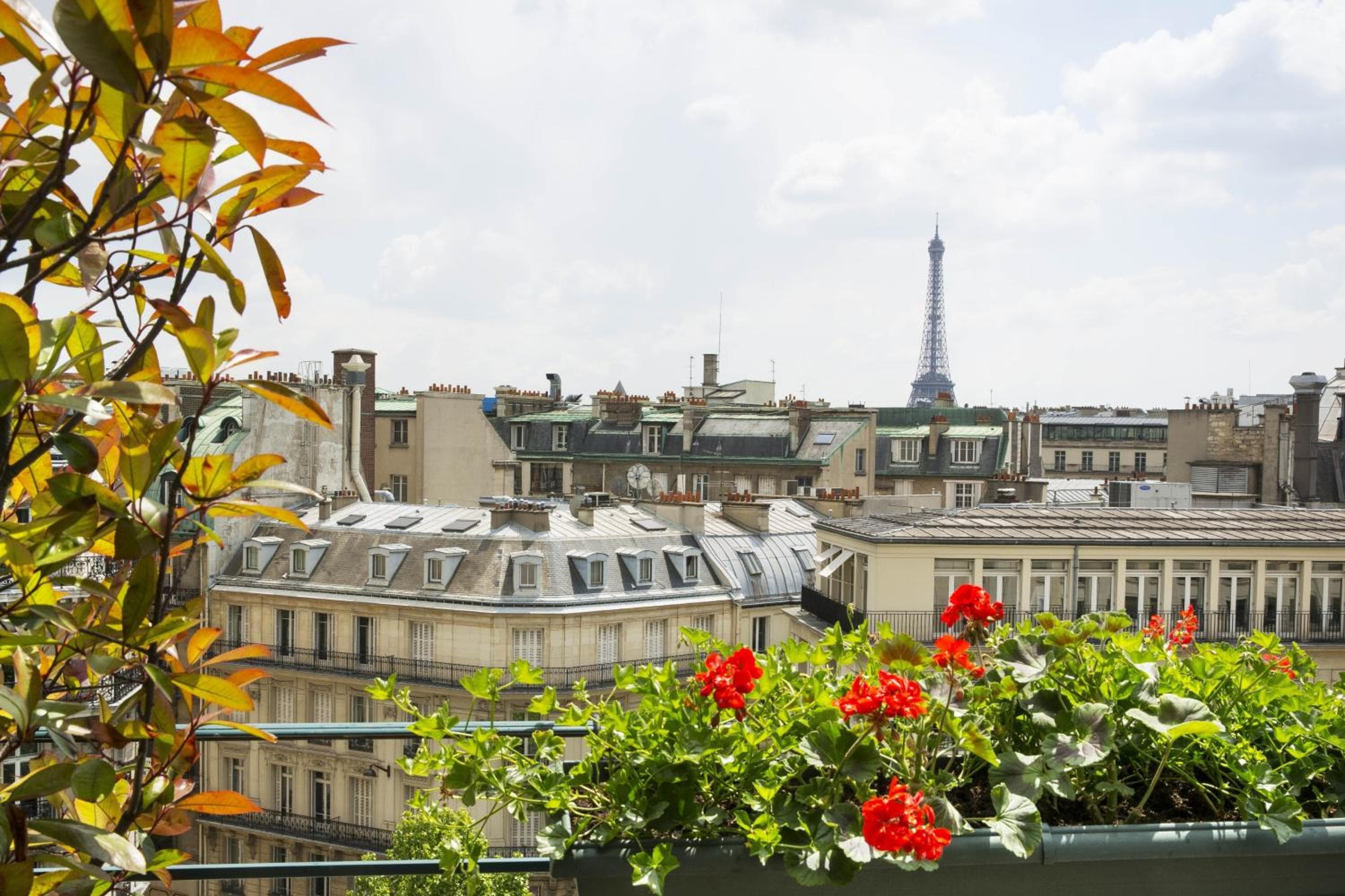 Hotel Napoleon Paris — 10
