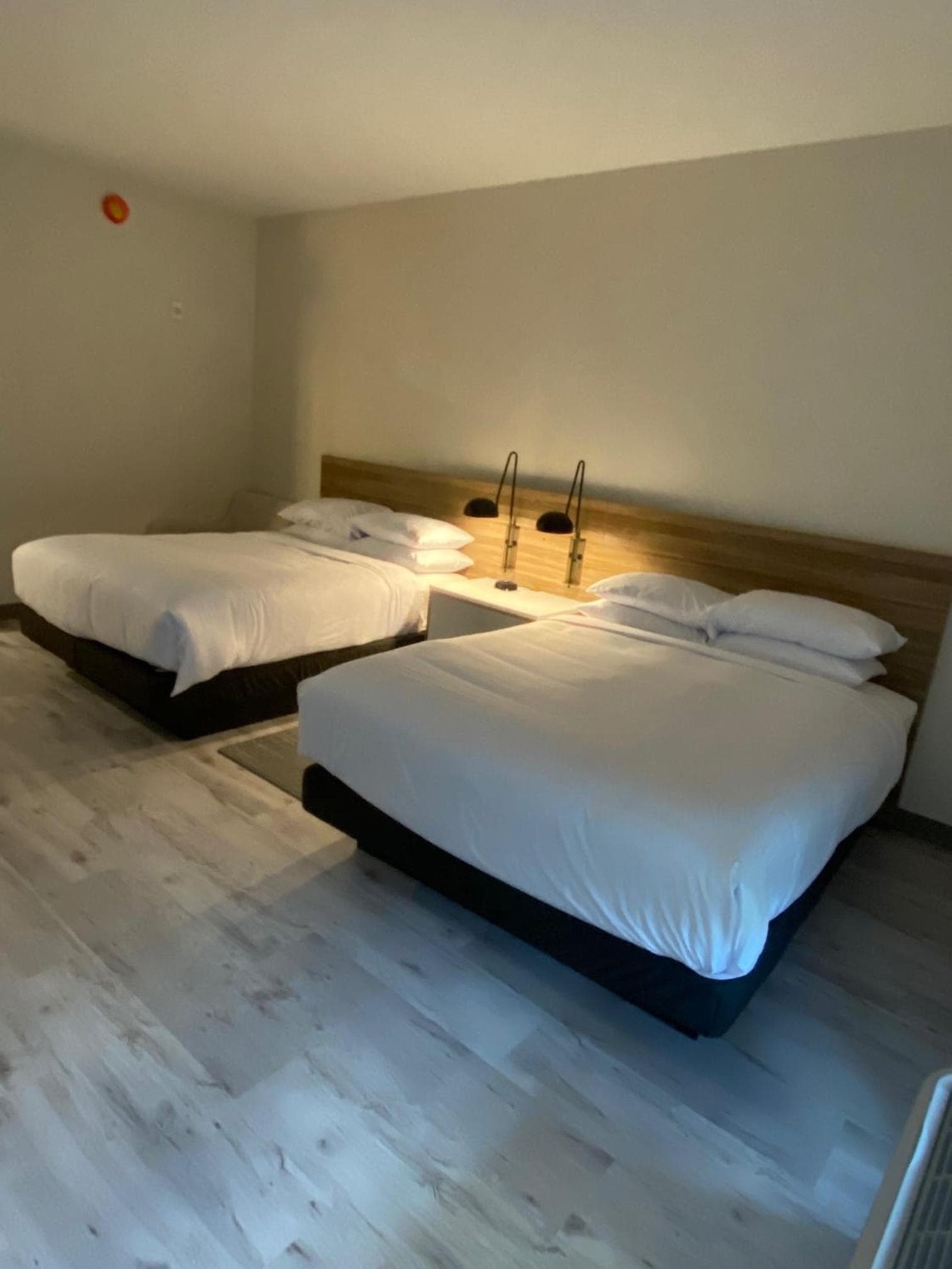 Wyndham Garden Orlando Airport - Free Airport Shuttle - PARK N' FLY Available — 13